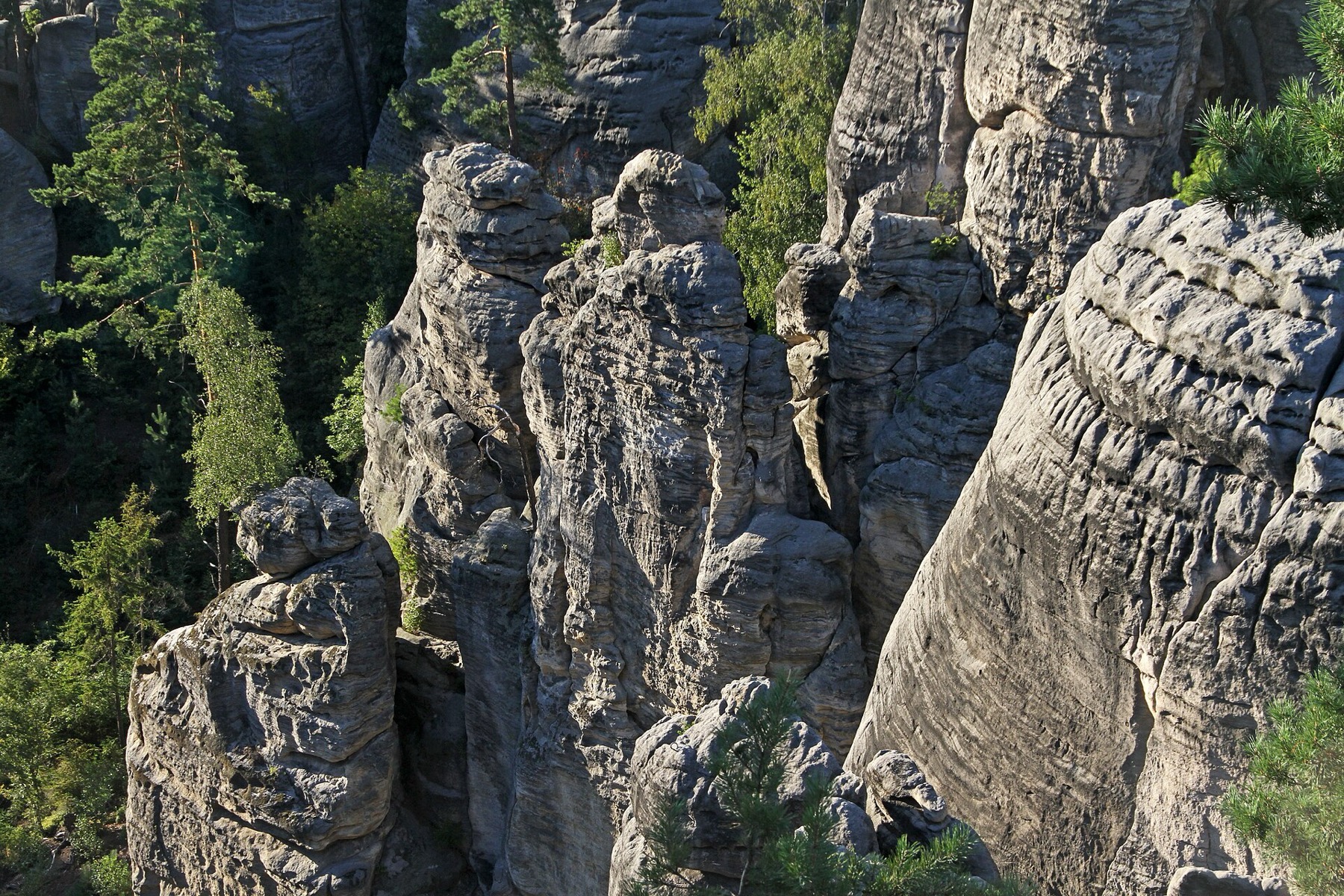 Rocas de Prachov: circuitos, entradas y 12 consejos 2026 18 Paredes rocosas y desfiladeros de Prachov