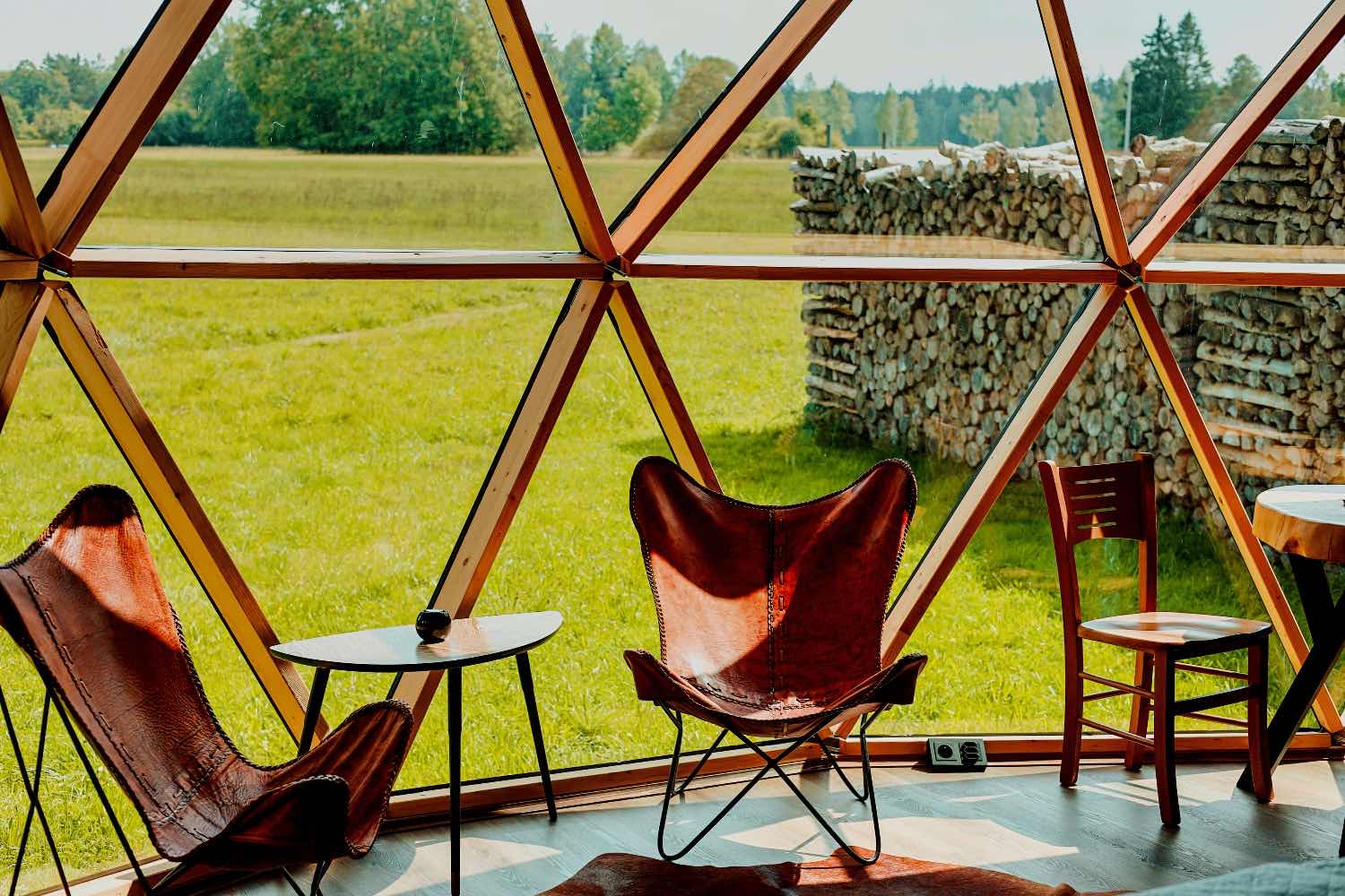 Alojamientos únicos del mundo: 35 lugares para tu bucket list en 2026 69 Interior de la cúpula de Colony Glamping