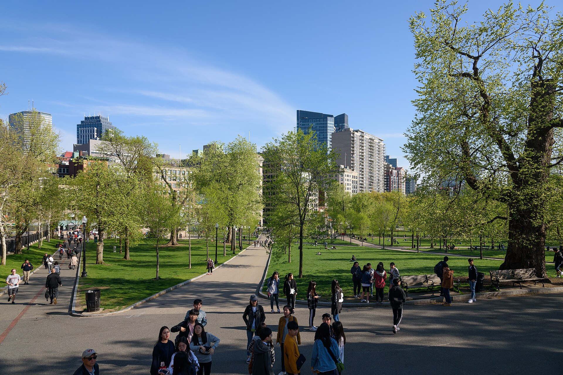 Boston, USA: 22 Things to See and Do + Freedom Trail 3 Boston Common with the city skyline