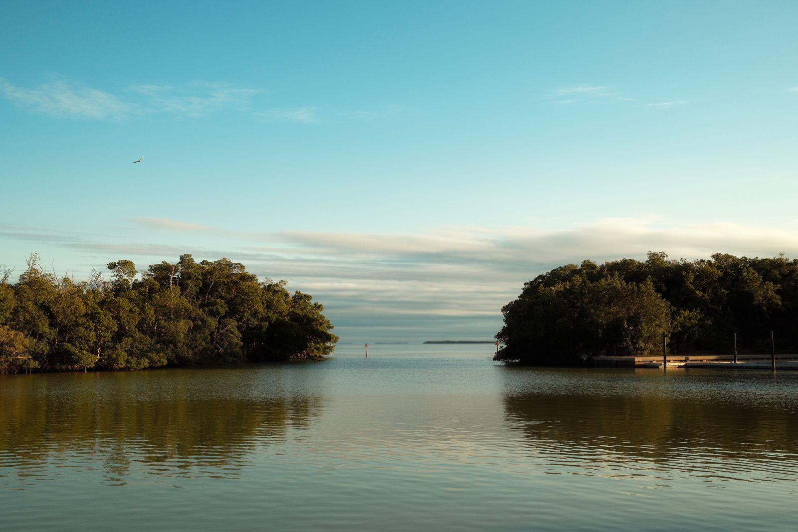 USA Florida 2026: 25 oplevelser, ruter og priser 20 Mangroveøer og roligt vand i Biscayne Bay
