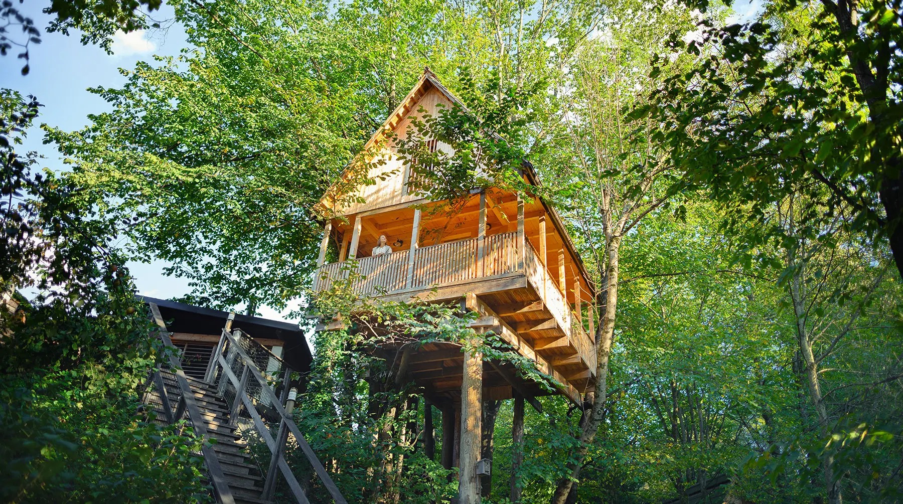 Alojamientos únicos del mundo: 35 lugares para tu bucket list en 2026 66 Tiendas de glamping de Garden Village Bled