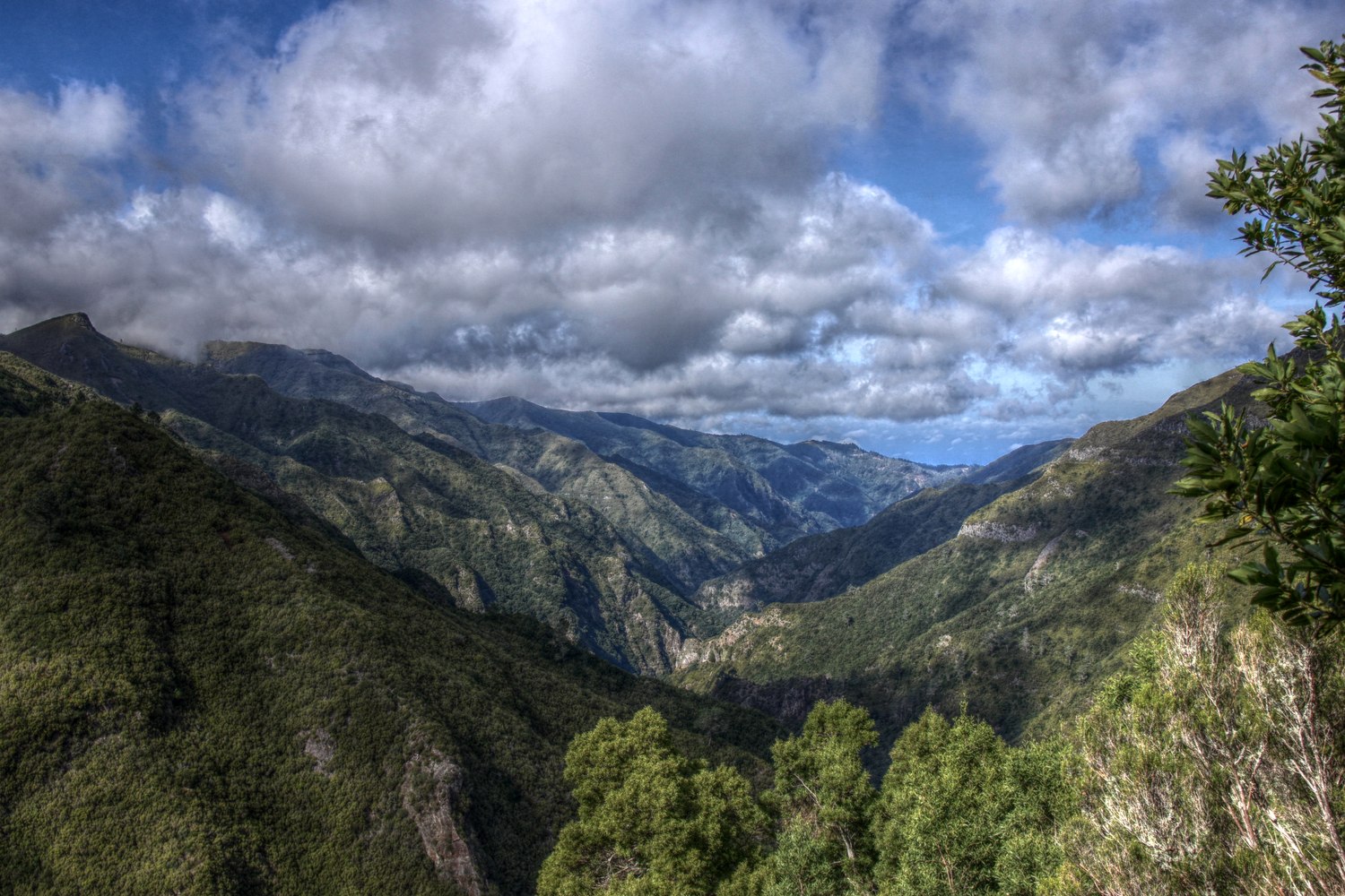 Vart ska man resa i november 2026: 27 varma resmål 5 Levadas på Madeira