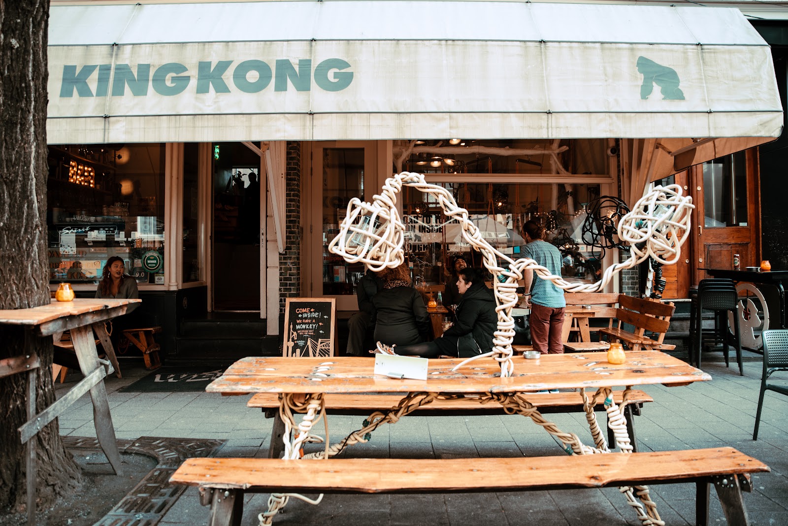 Hvor skal du bo i Rotterdam? 12 hoteller og kvarterer 14 Hotel King Kong Hostel