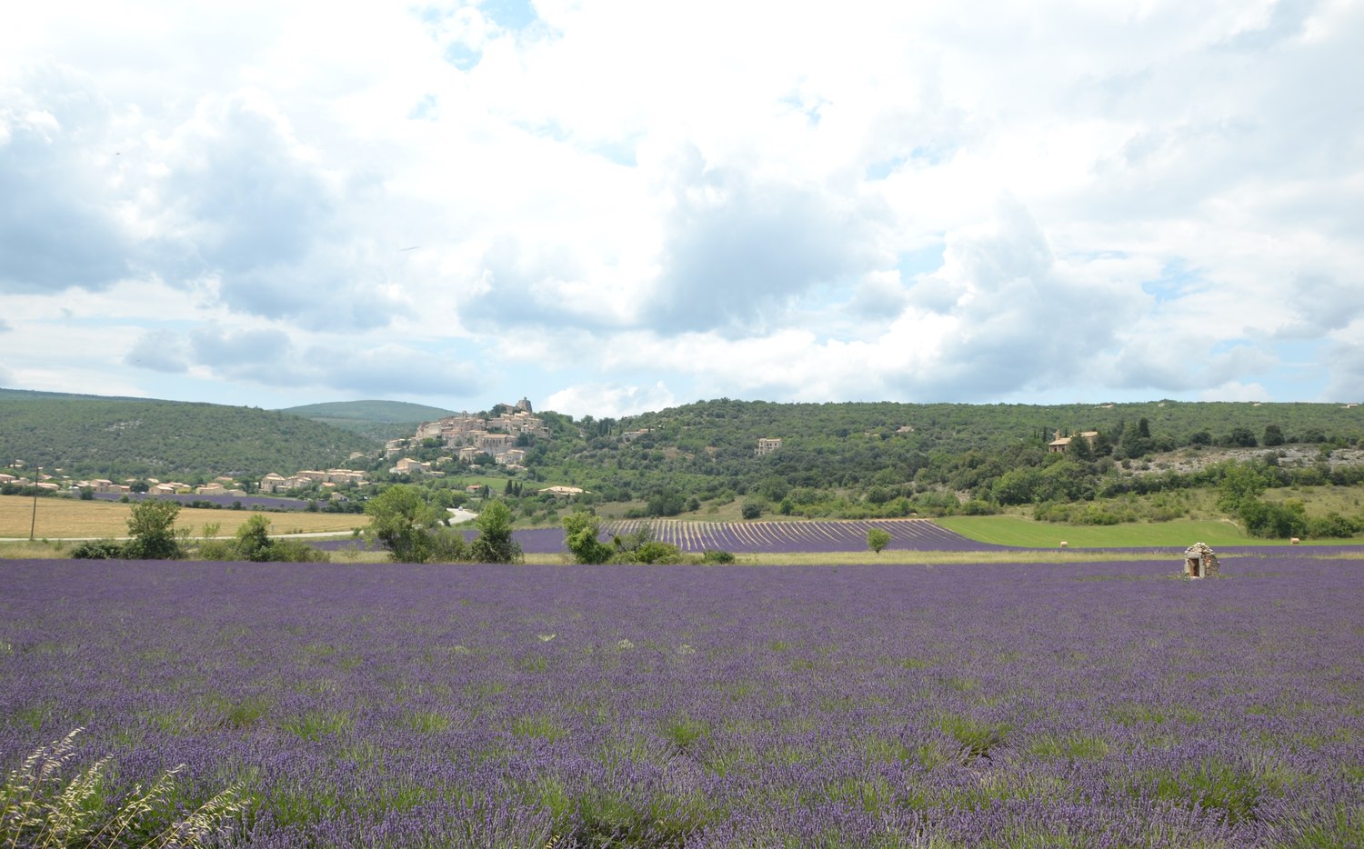 Kam na dovolenku v apríli 2026: k moru, do miest aj za sakurou 27 Provence