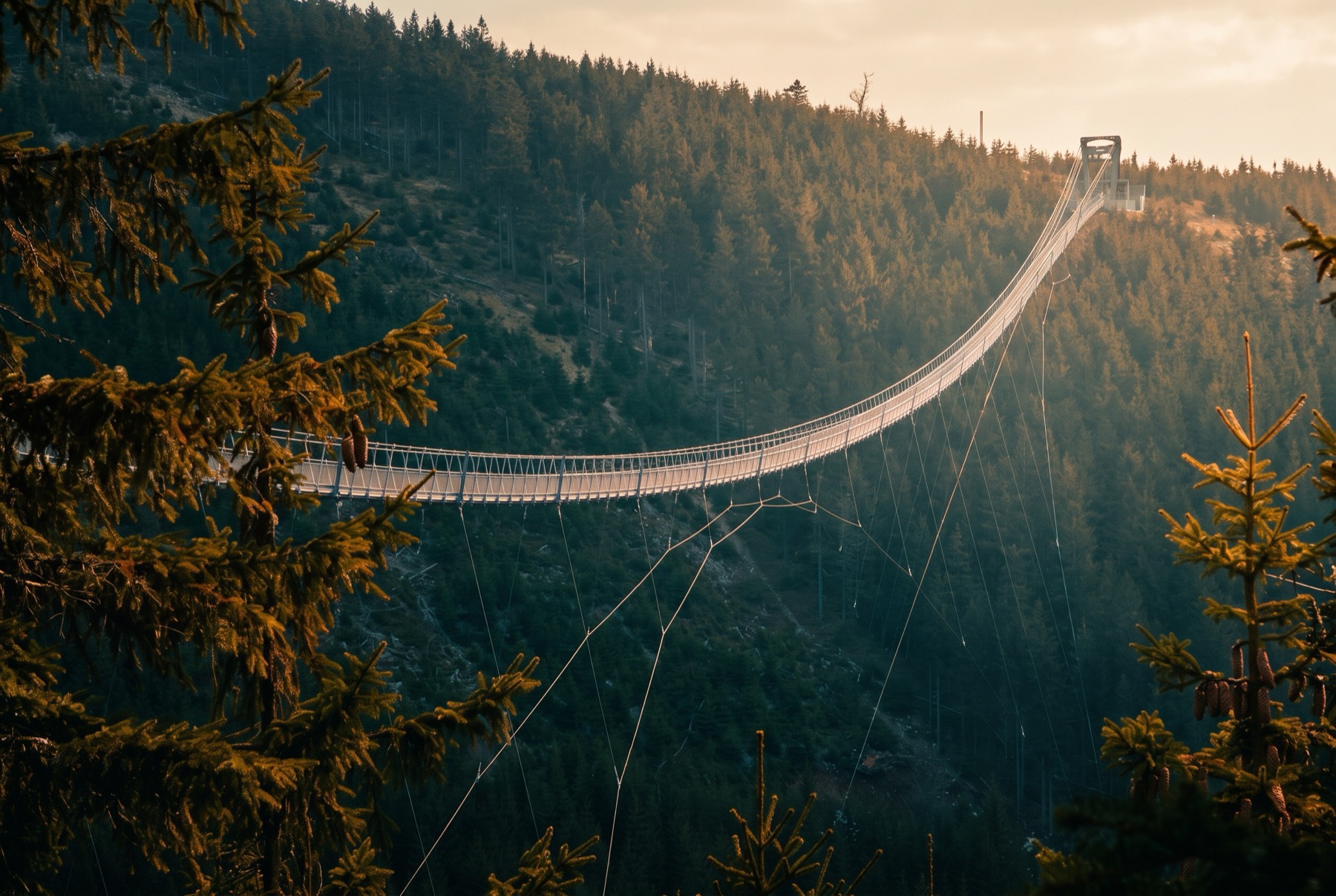 Dolní Morava 2026: 14 tipp, mit láss és csinálj – Sky Bridge, Felhők ösvénye és síelés 4 Sky Bridge 721 az erdők között