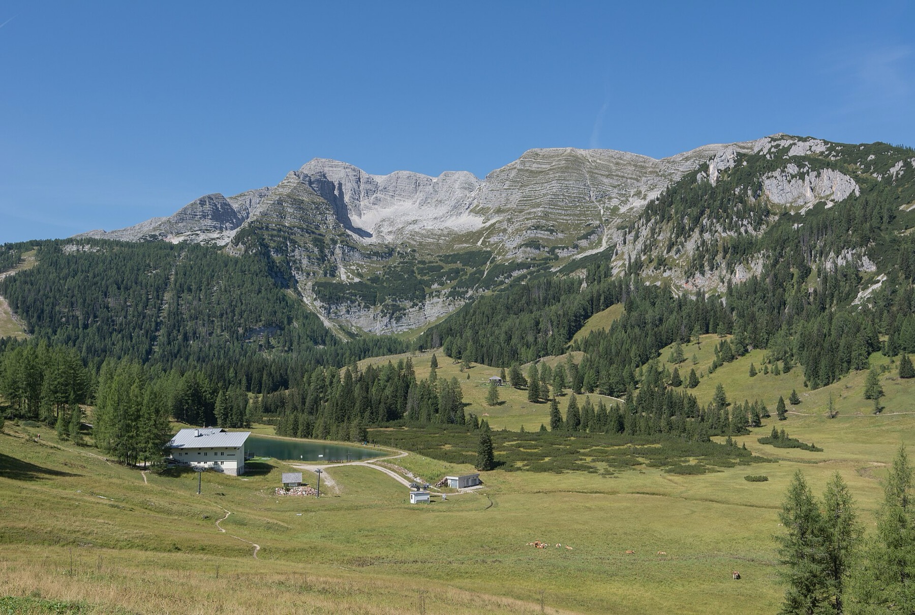 Hinterstoder a Wurzeralm: 12 tipů na nejbližší Alpy – z Česka za 3 hodiny 6 Areál Wurzeralm