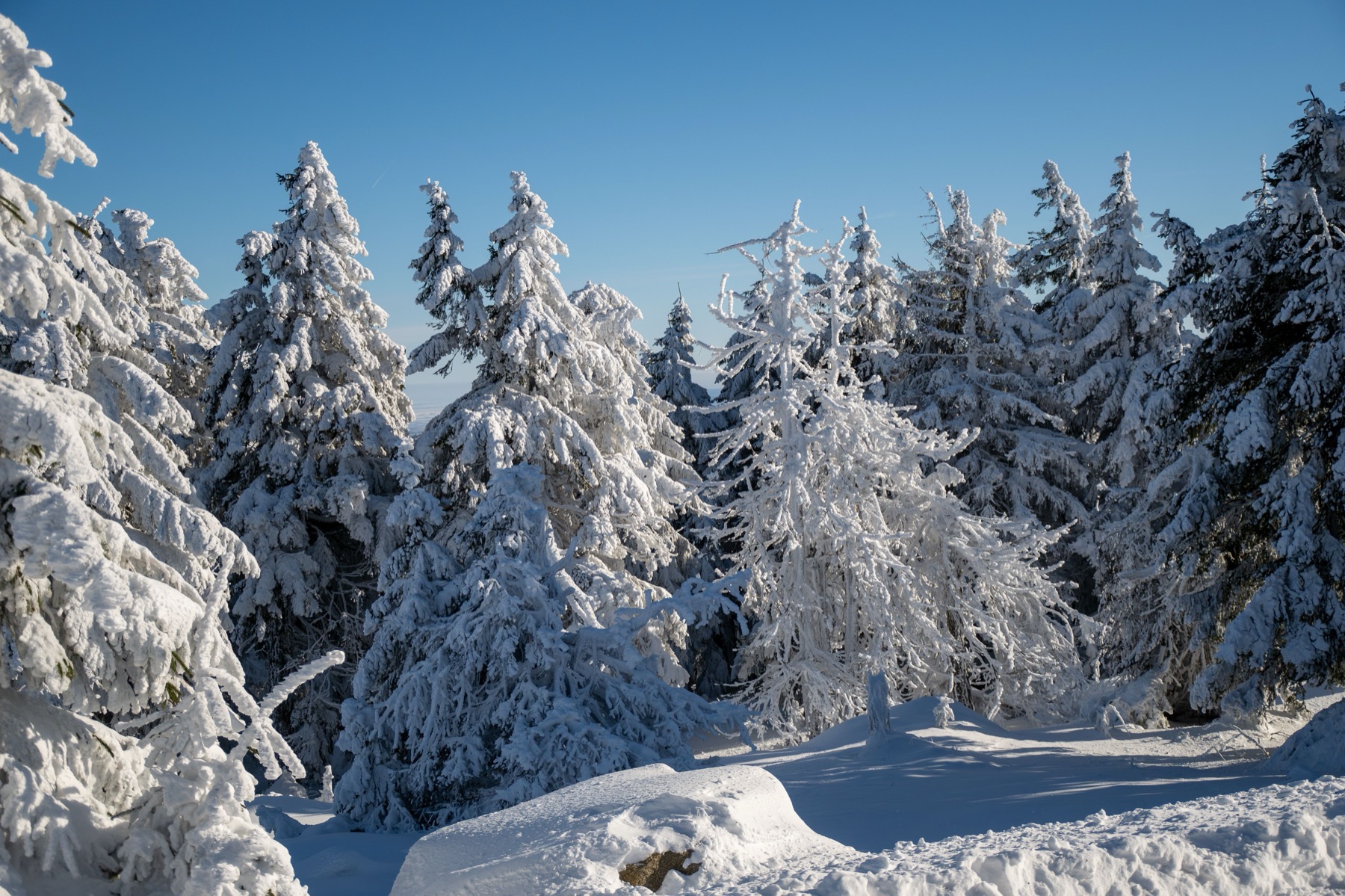 Hochkar und Semmering 2026: 12 Tipps für Tagesskifahrten nahe der Grenze 1 Hochkar in Niederösterreich im Winter