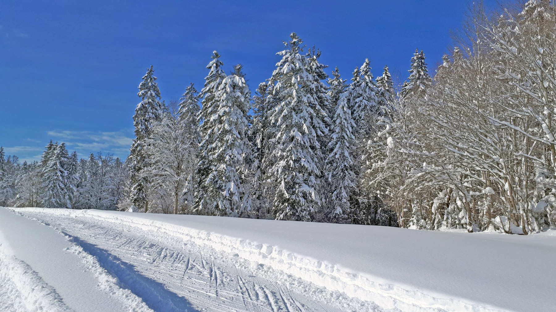 Hochkar und Semmering 2026: 12 Tipps für Tagesskifahrten nahe der Grenze 12 Semmering im Winter