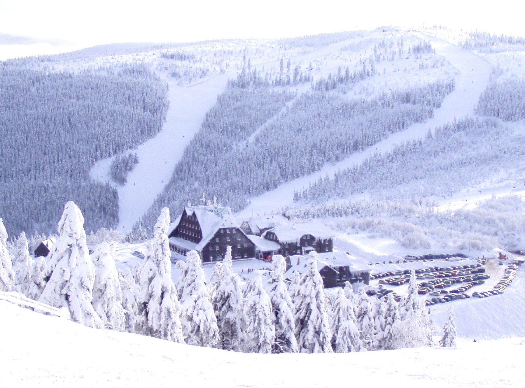 Skifahren in Tschechien 2026: 14 beste Skigebiete und Skipässe 16 Červenohorské sedlo im Jeseníky-Gebirge