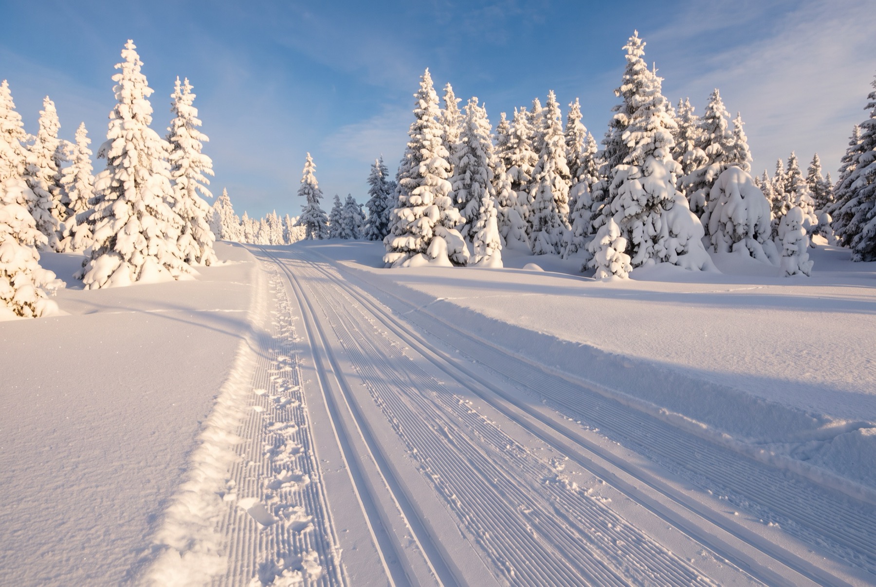 Riesengebirge und Isergebirge ohne Massen 2026: 14 Tipps statt Spindlermühle 10 Langlaufloipe auf der Jizerská magistrála