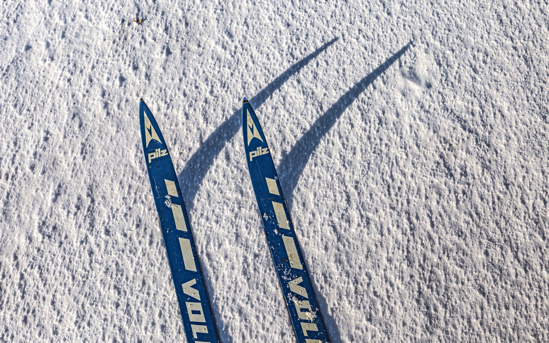 Skifahren in der Slowakei 2026: 14 Tipps und alles, was du wissen solltest 14 Langlaufski in der Loipe
