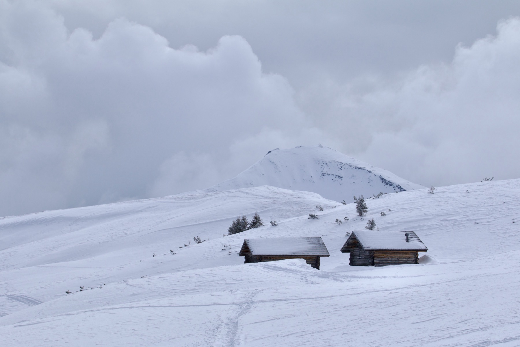 Skiing in Italy 2026: 14 Tips for the Dolomites, Livigno & Superski 14 Alta Badia