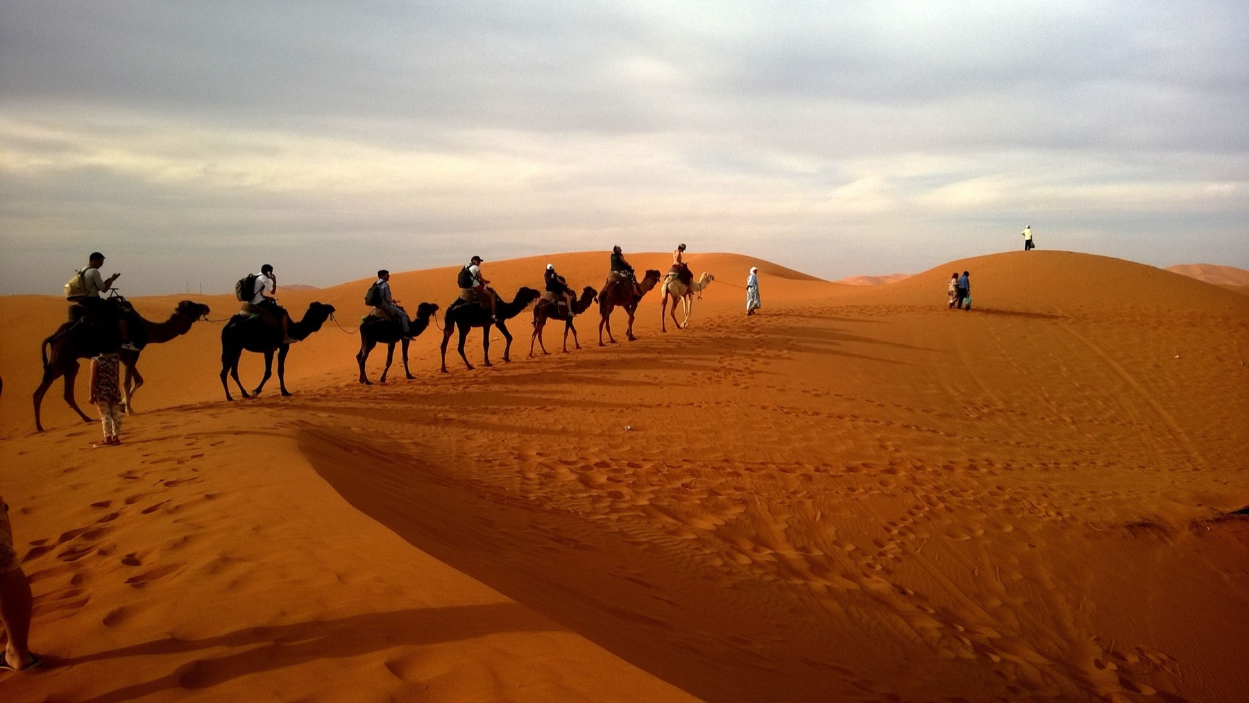 Agadir, Maroko: 14 tipů, vidět a co nevychechat 12 Velbloudi v marocké krajině