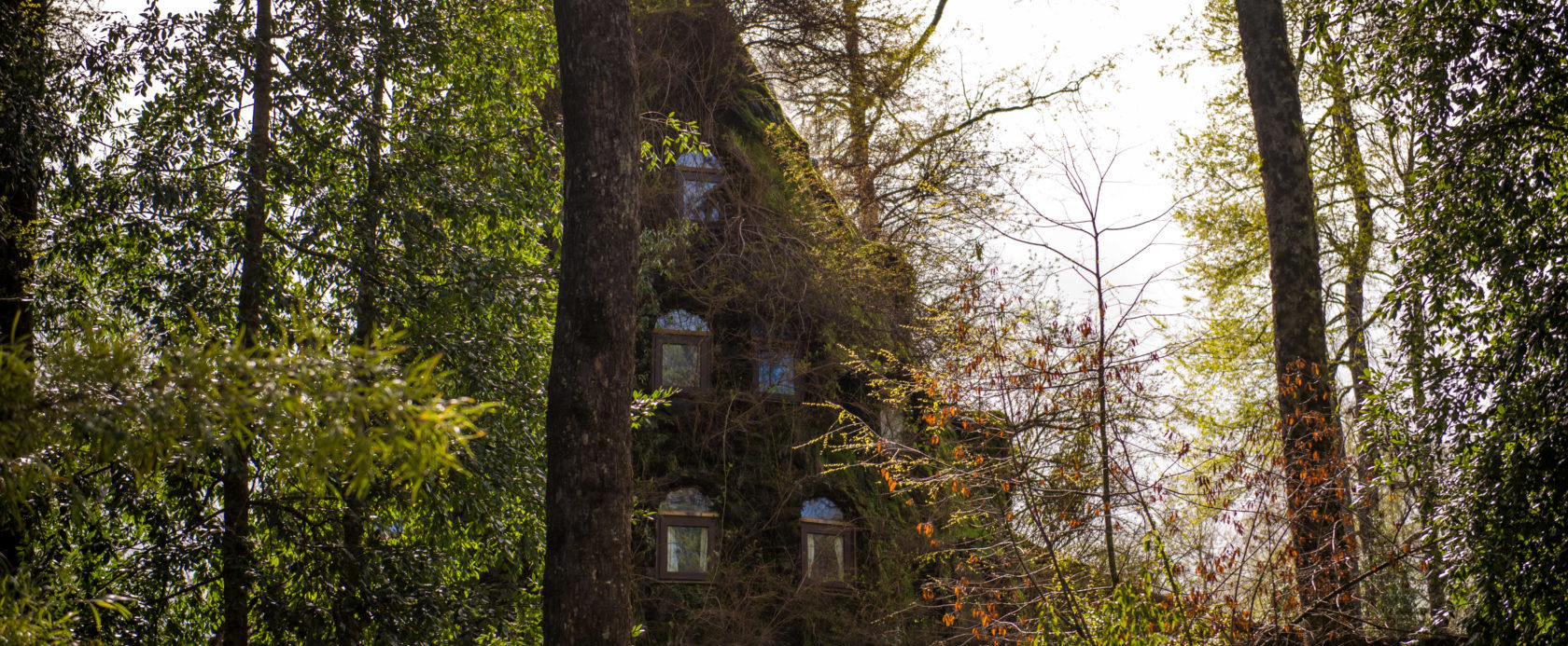 Alojamientos únicos del mundo: 35 lugares para tu bucket list en 2026 34 Montaña Mágica Lodge con forma de volcán en la selva chilena