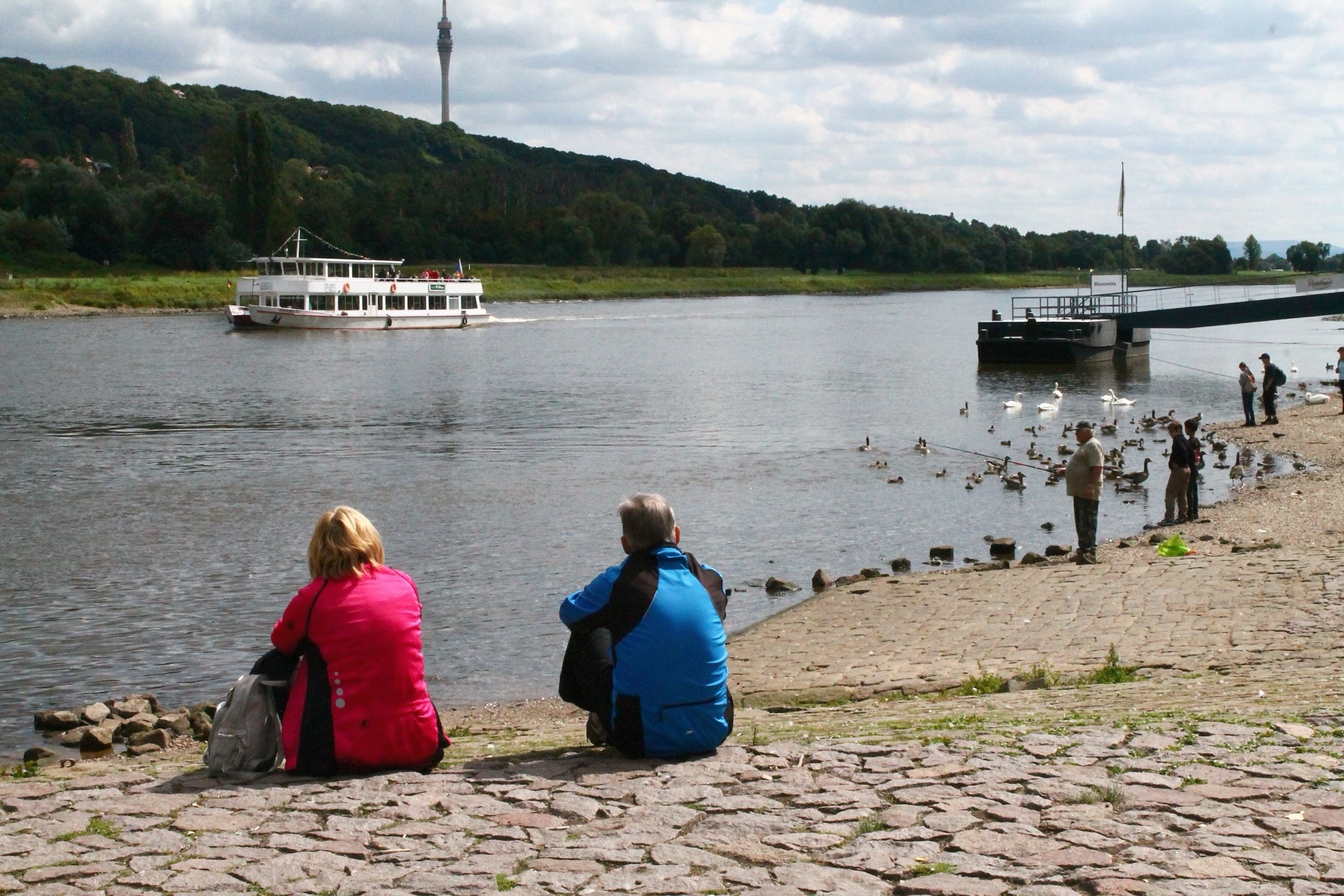 Dresden: 16 Sehenswürdigkeiten und kostenlose Tipps 14 Wiesen an der Elbe