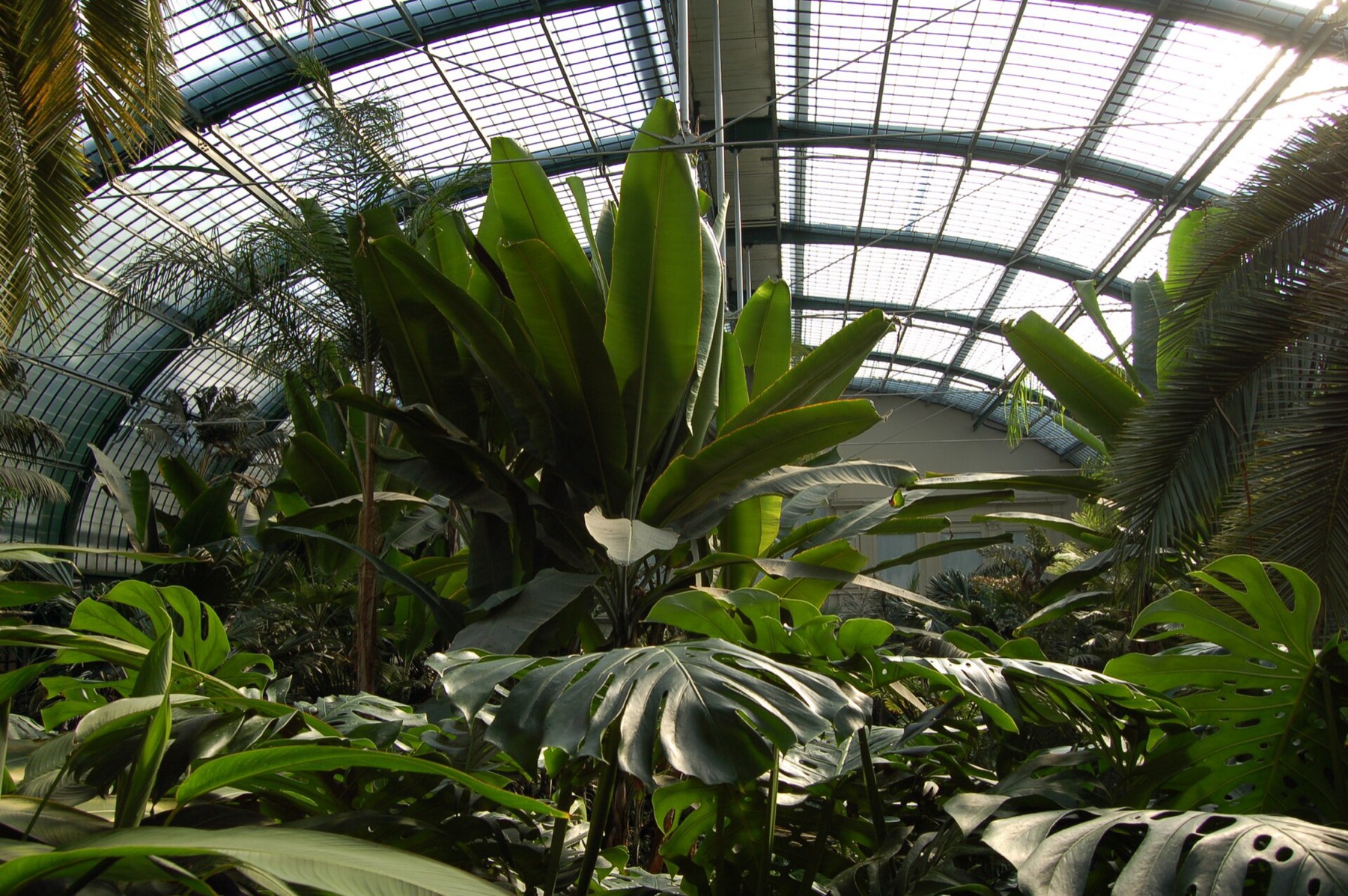 Frankfurt, Německo: 18 tipů, co vidět za jeden den 19 Botanická zahrada Palmengarten