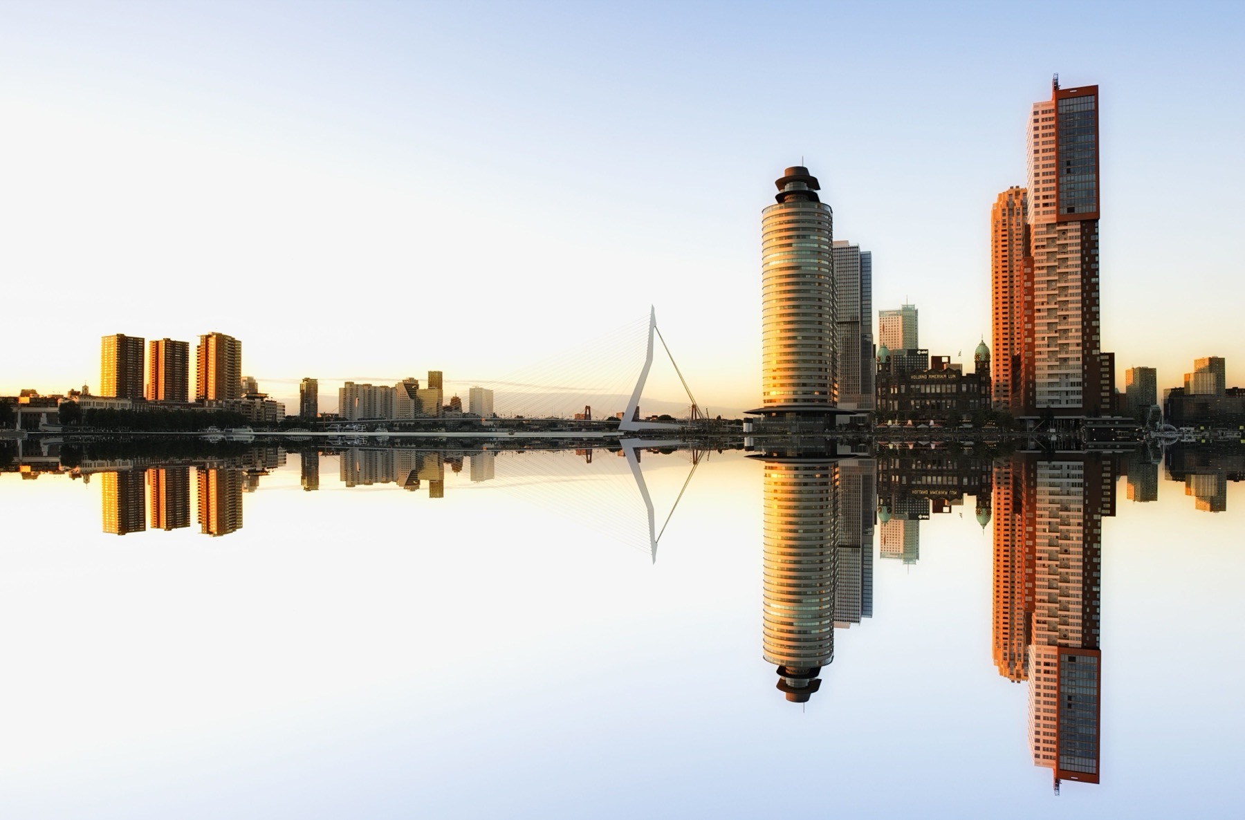 Rotterdam: 16 cose da vedere e fare nel 2026 2 Architettura moderna di Rotterdam