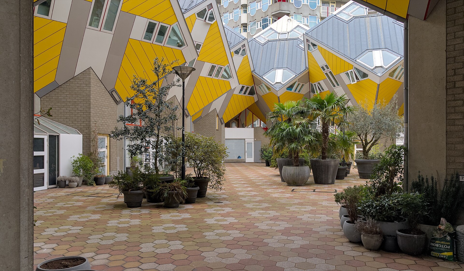 Rotterdam: 16 cose da vedere e fare nel 2026 5 Case cubiche di Piet Blom