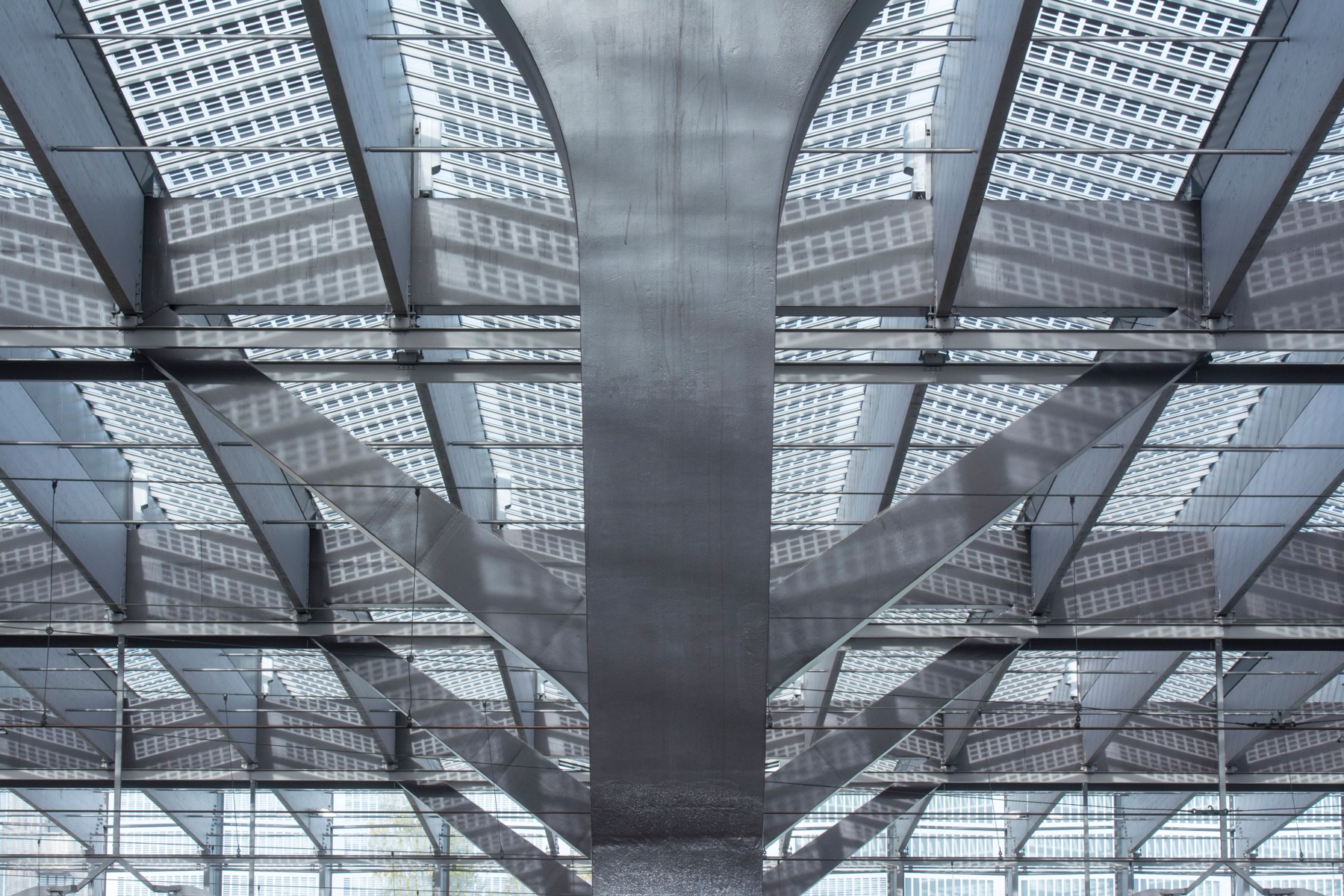 Rotterdam: 16 cose da vedere e fare nel 2026 6 Interno del mercato coperto Markthal