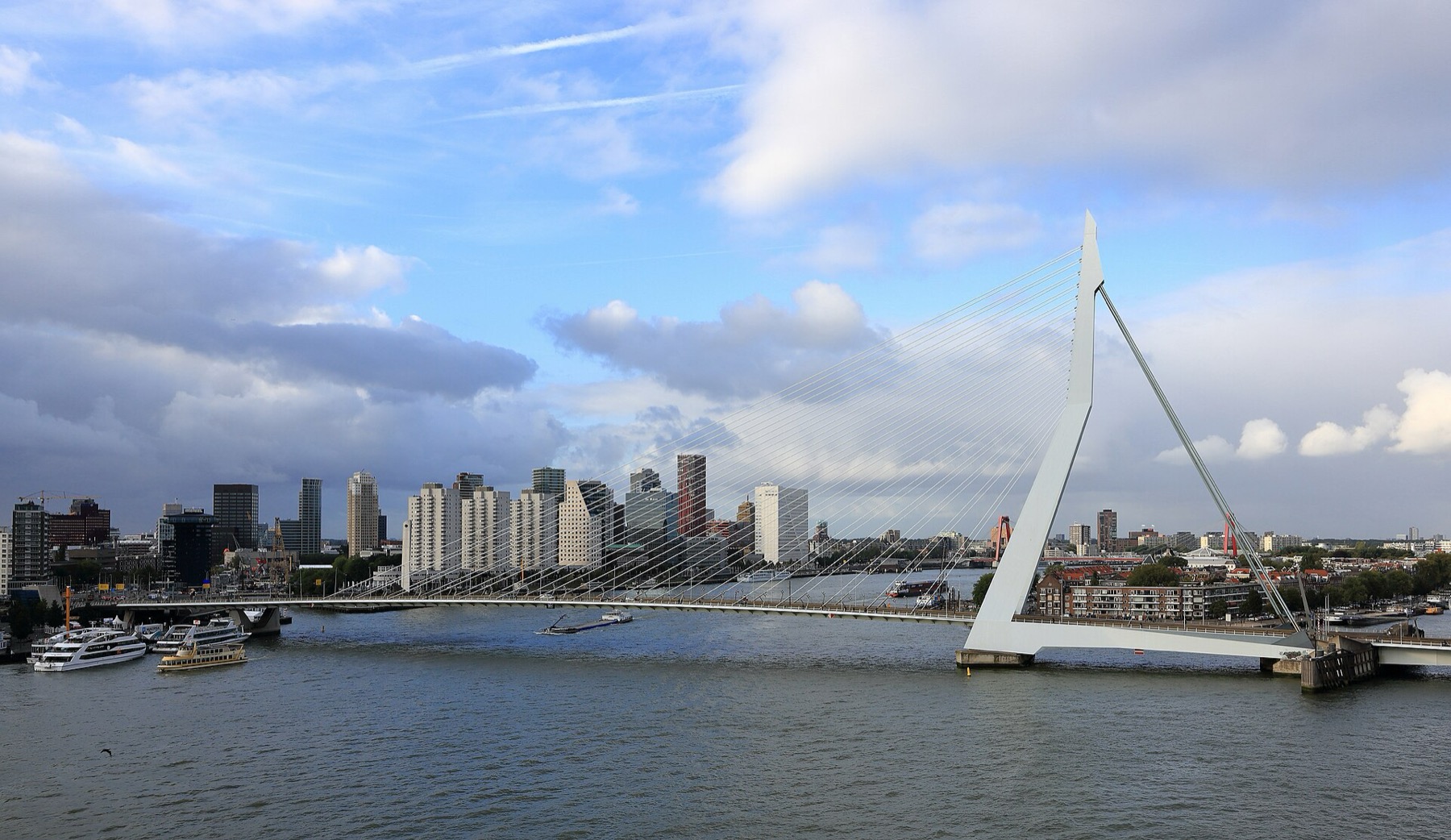 Rotterdam: 16 cose da vedere e fare nel 2026 7 Il ponte Erasmus chiamato il Cigno