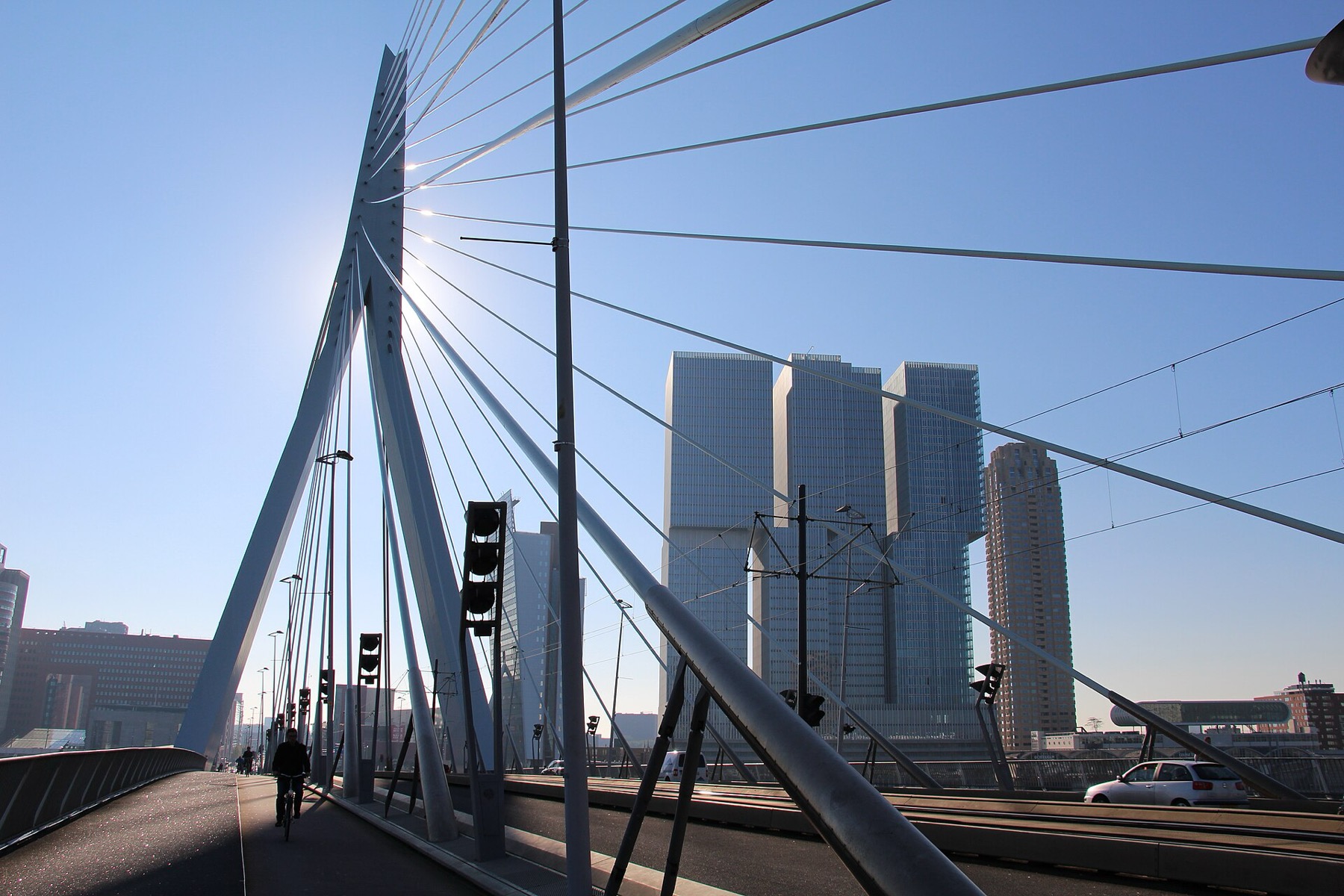 Rotterdam: 16 cose da vedere e fare nel 2026 14 L'edificio De Rotterdam