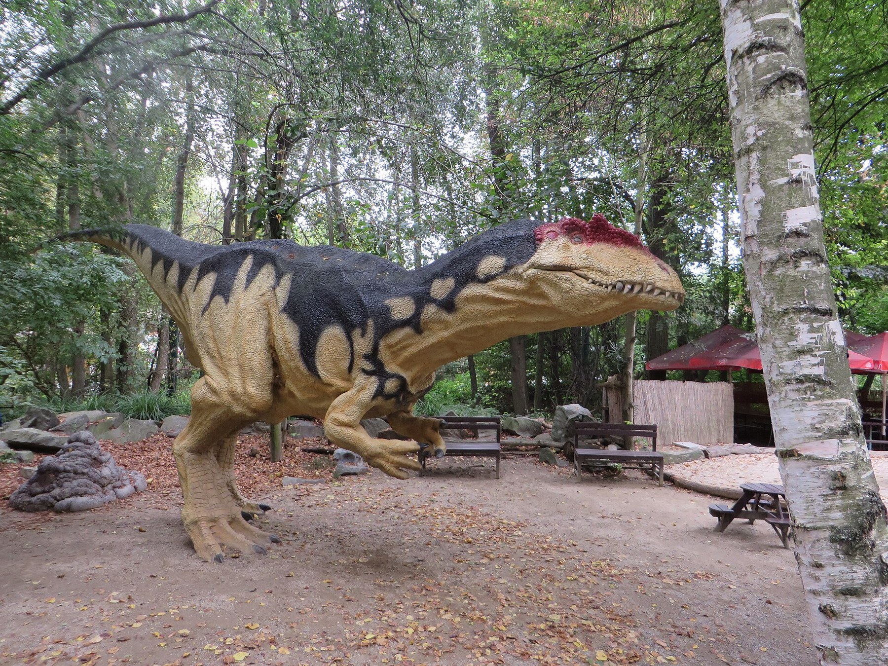 Olomouc con bambini: 34 idee su cosa fare e dove andare nel 2026 31 Modello di dinosauro nel DinoPark di Vyškov