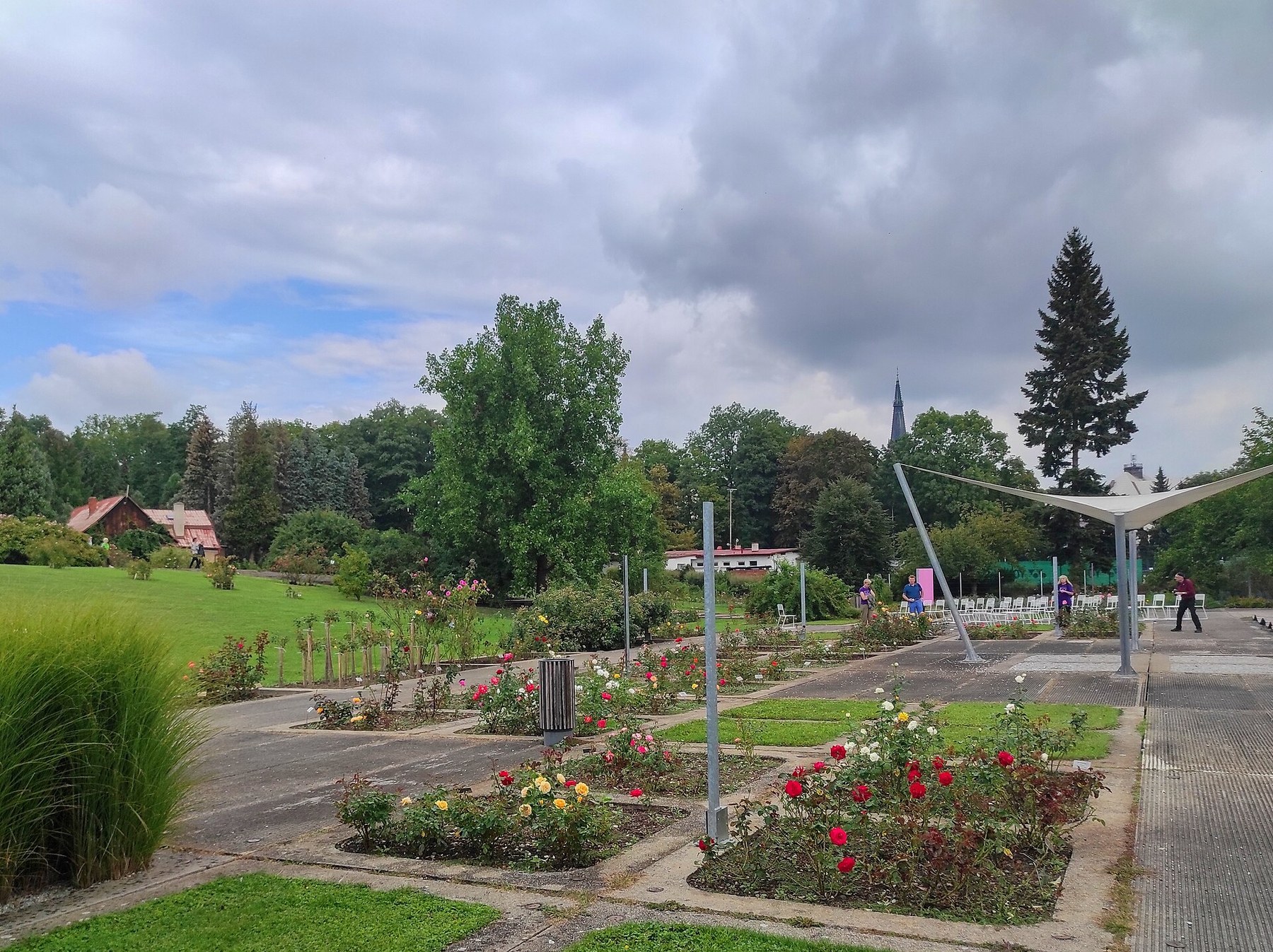 Olomouc con bambini: 34 idee su cosa fare e dove andare nel 2026 11 Il Roseto di Olomouc con aiuole di rose in fiore