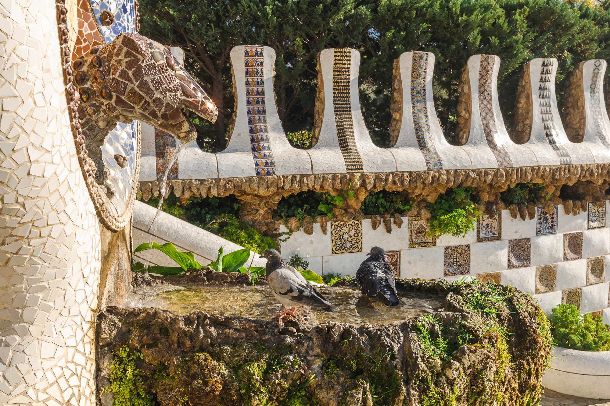 Gaudí in Barcelona Spanien: 12 Bauwerke, die du sehen musst 9 Detail der Trencadís-Mosaikbank im Park Güell