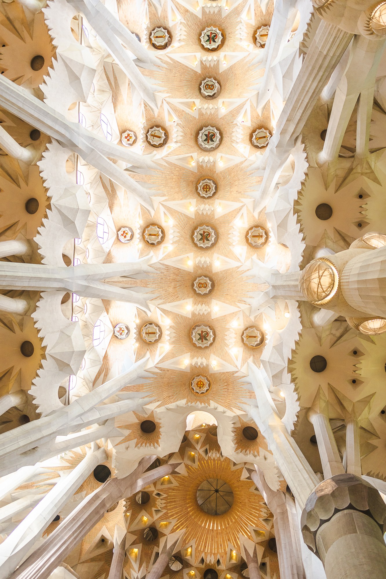 Sagrada Família : 12 conseils à connaître – billets, prix et astuces pour 2026 6 La voûte de la Sagrada Família vue d'en bas