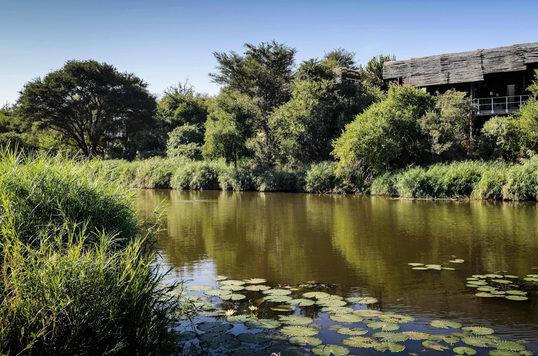 The World's Most Luxurious Hotels: 29 Addresses That Will Surprise You in 2026 53 Terrace of the Singita Sweni lodge