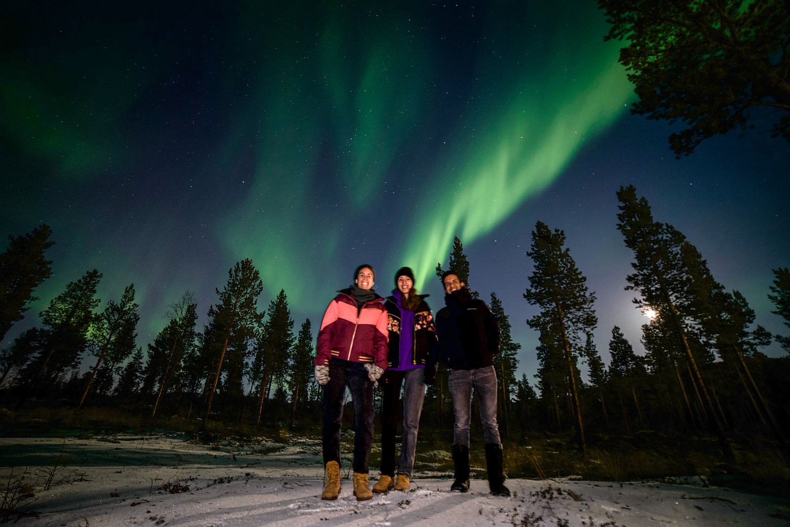 Alojamientos únicos del mundo: 35 lugares para tu bucket list en 2026 6 Aurora boreal sobre el recinto de Sorrisniva en Alta