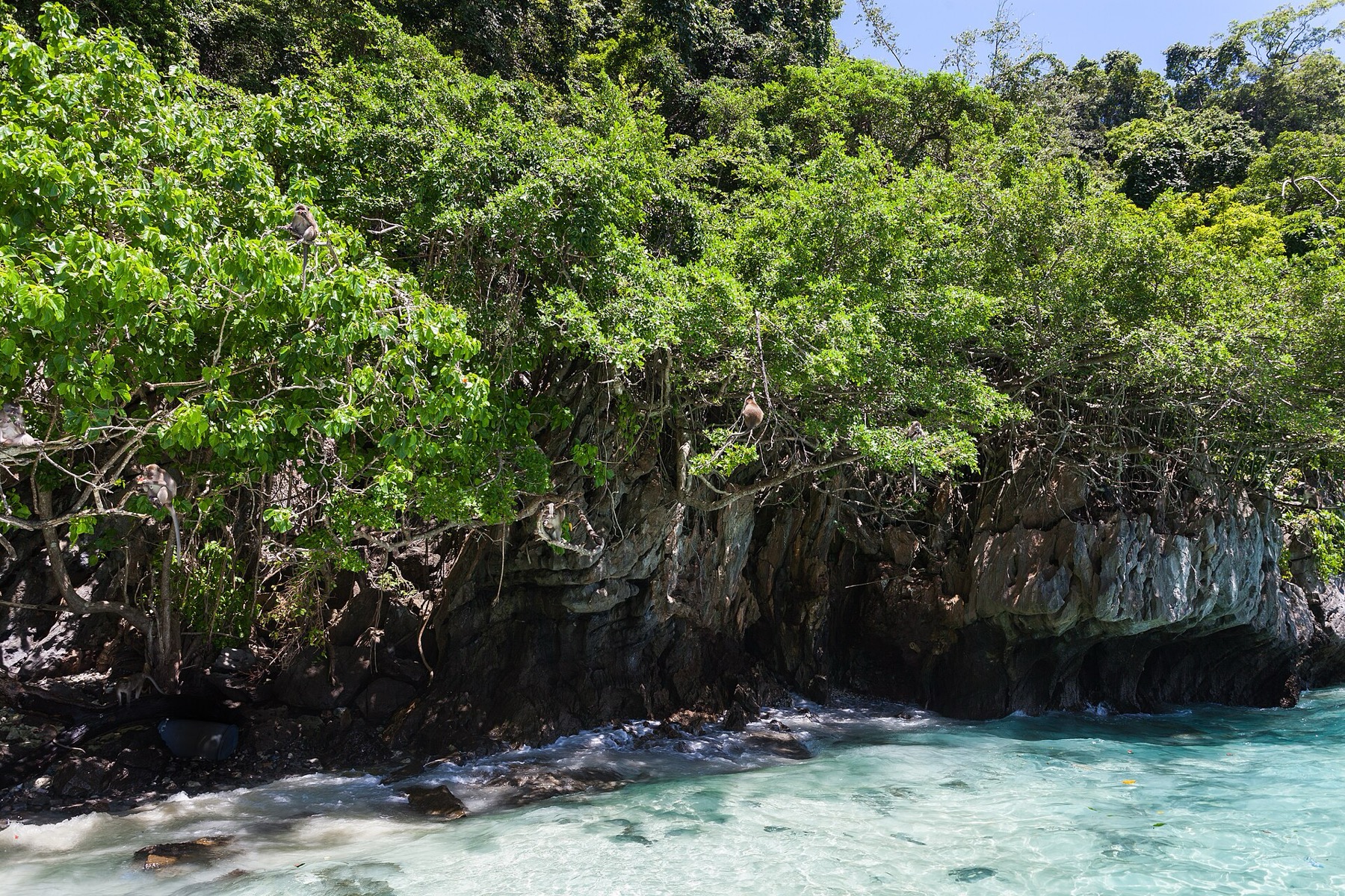 Was du auf Phuket sehen solltest: 16 Tipps abseits der Bangla Road 2026 13 Monkey Beach mit Affen