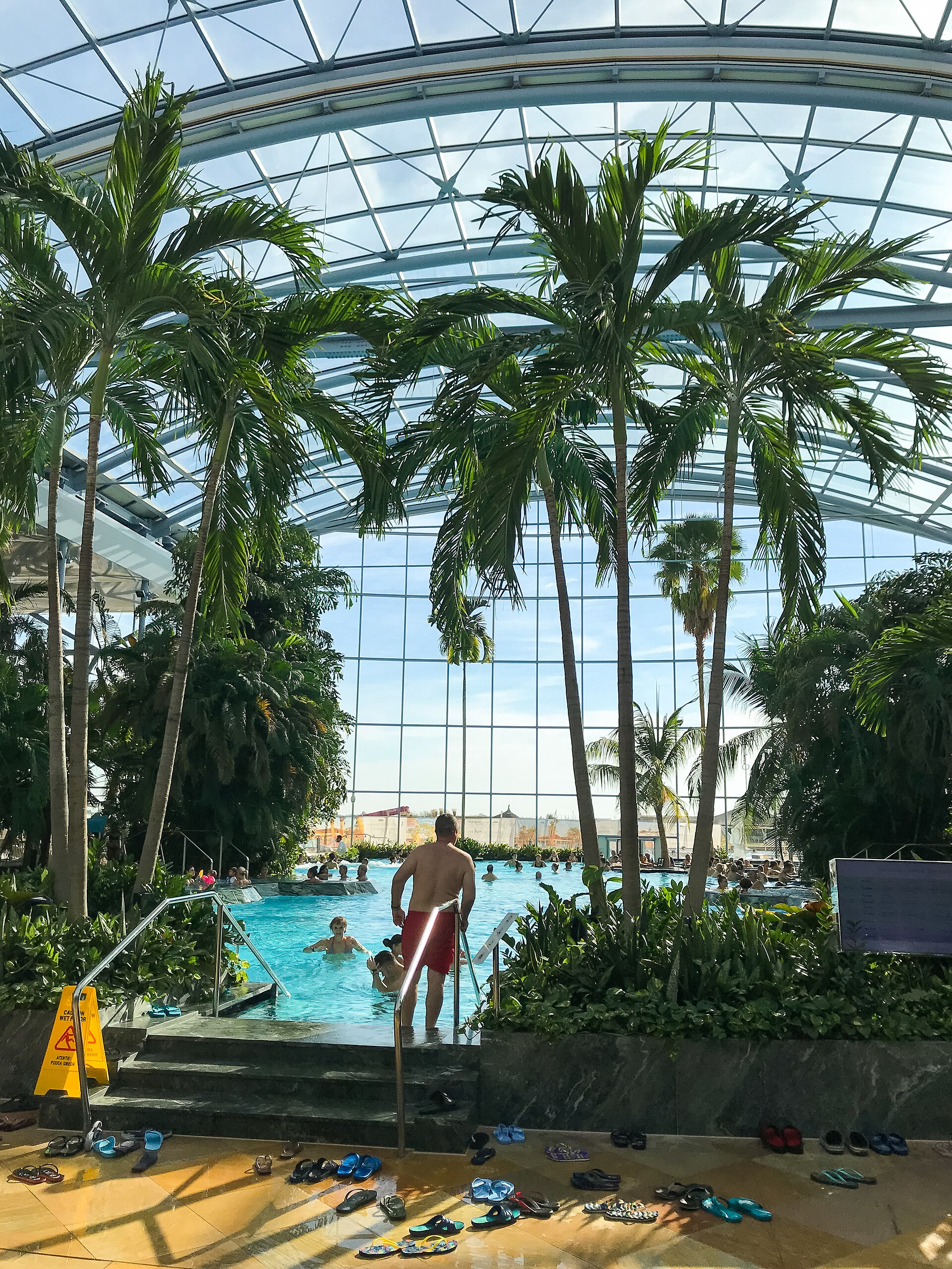 Bukarest, Rumänien: 20 Sehenswürdigkeiten & Ausflüge 2026 5 Palmenhalle im Thermalkomplex Therme București