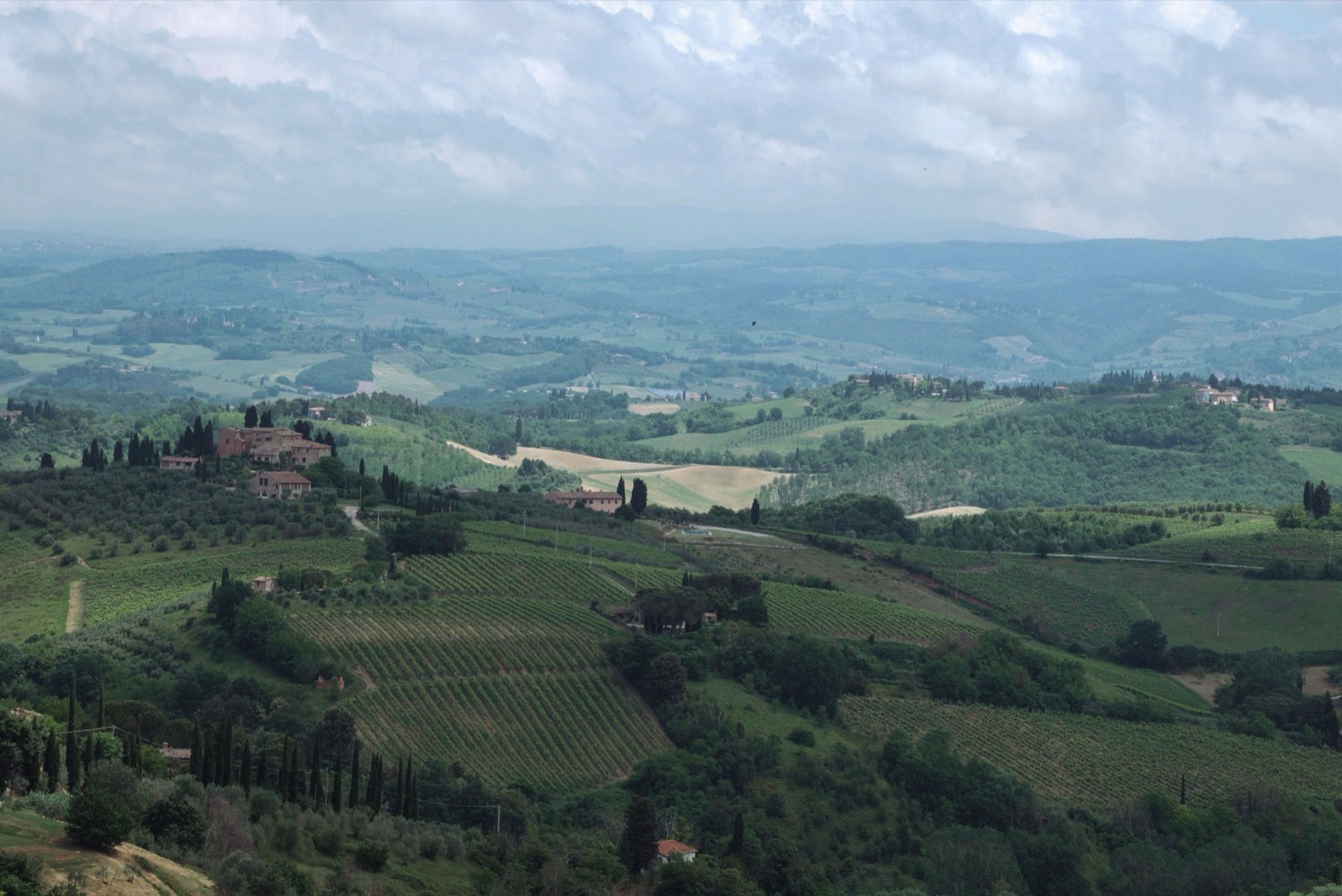 Agriturismo v Toskánsku: 20 tipů, ceny a jak vybrat 119 Toskánské kopce s vinicemi