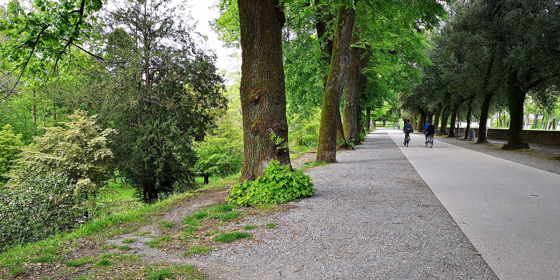 Lucca, Itálie: 22 tipů, co vidět a proč objet hradby na kole 7 Stromořadí na koruně luccských hradeb, oblíbená trasa rodin s dětmi