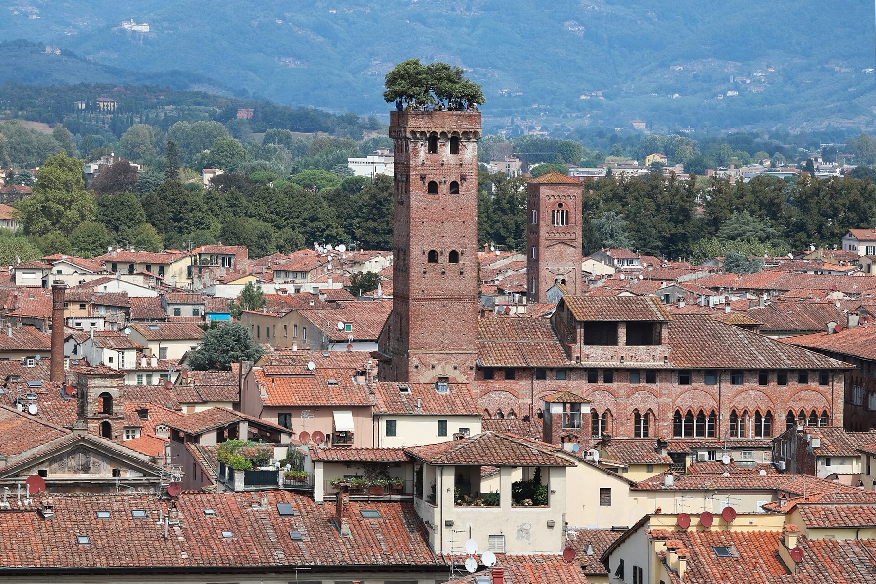Lucca, Itálie: 22 tipů, co vidět a proč objet hradby na kole 8 Věž Torre Guinigi v Lucce s duby na střeše