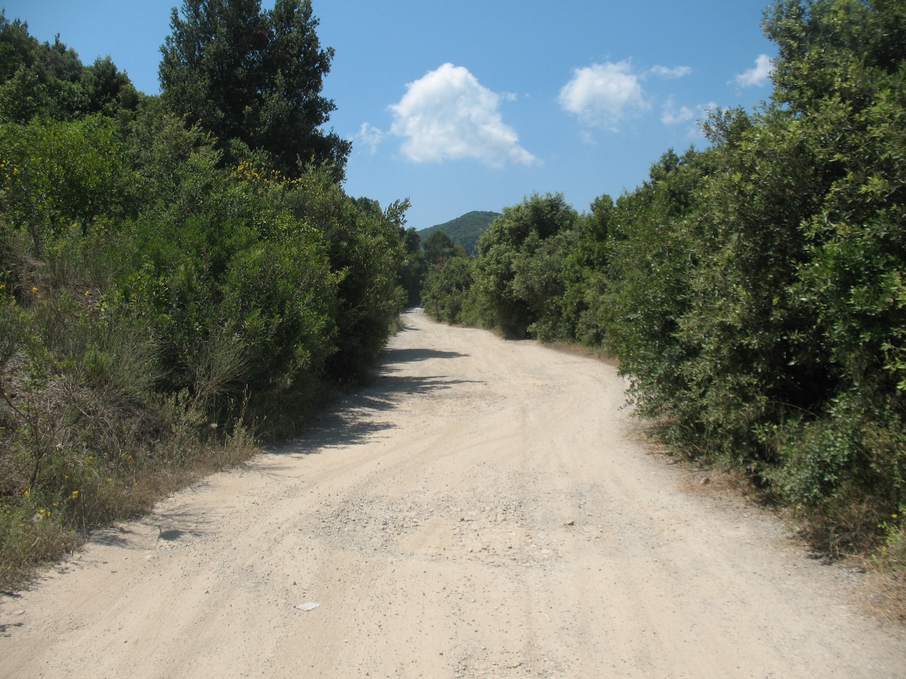 Ostrov Elba, Itálie: 20 tipů, co vidět, nejkrásnější pláže a trajekt 6 Klikatá pobřežní silnice na ostrově Elba