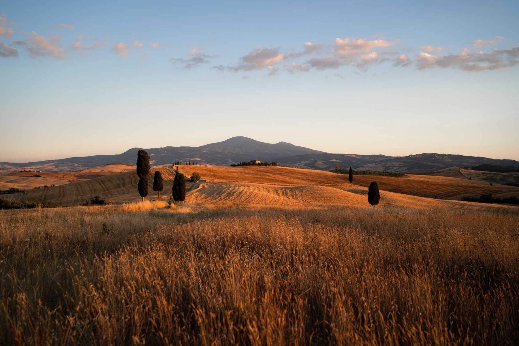 Toskánská krajina Val d'Orcia s cypřiši