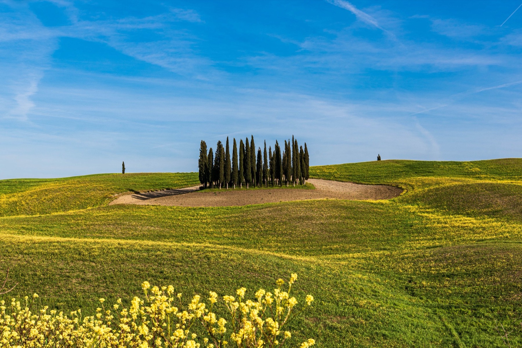 Météo en Toscane 2026 : températures mois par mois et quand partir 6 Collines toscanes verdoyantes au printemps