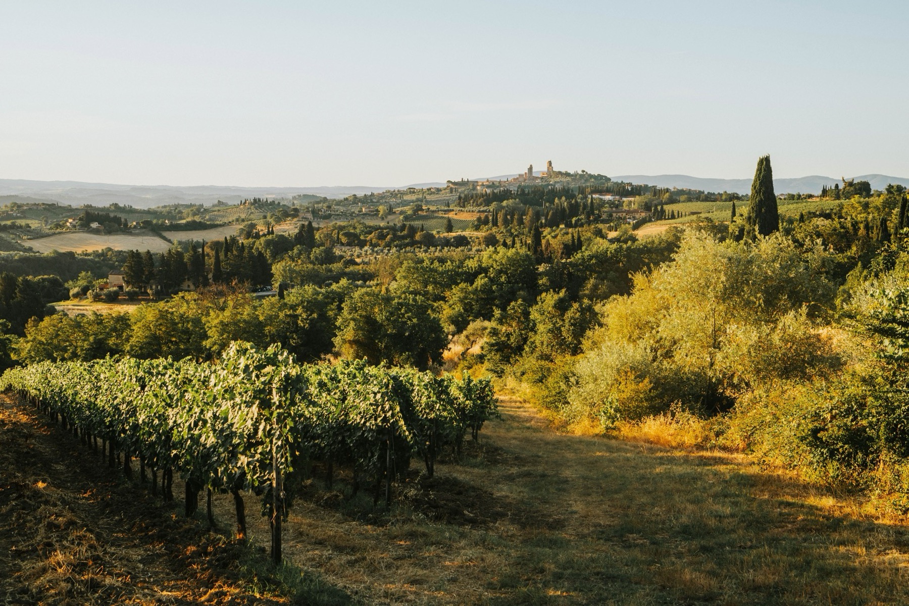 Météo en Toscane 2026 : températures mois par mois et quand partir 10 Couleurs d'automne des vignobles toscans