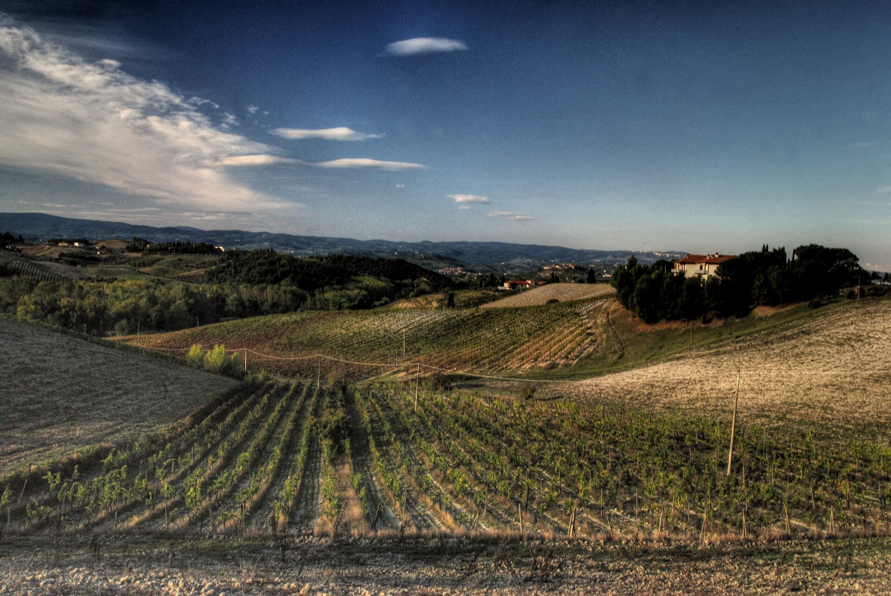 Vinice v Chianti mezi Florencií a Sienou
