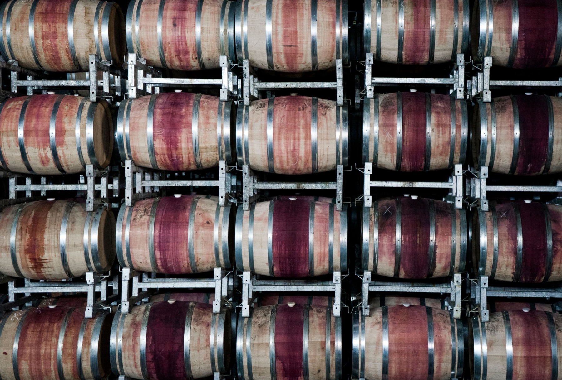 Viñedos y catas en la Toscana (Italia) 2026: 11 bodegas y precios 2 Barricas de roble en la bodega de una cantina toscana