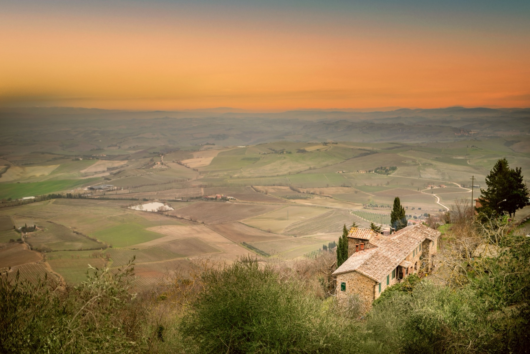 Viñedos y catas en la Toscana (Italia) 2026: 11 bodegas y precios 4 Paisaje de viñedos alrededor de Montalcino