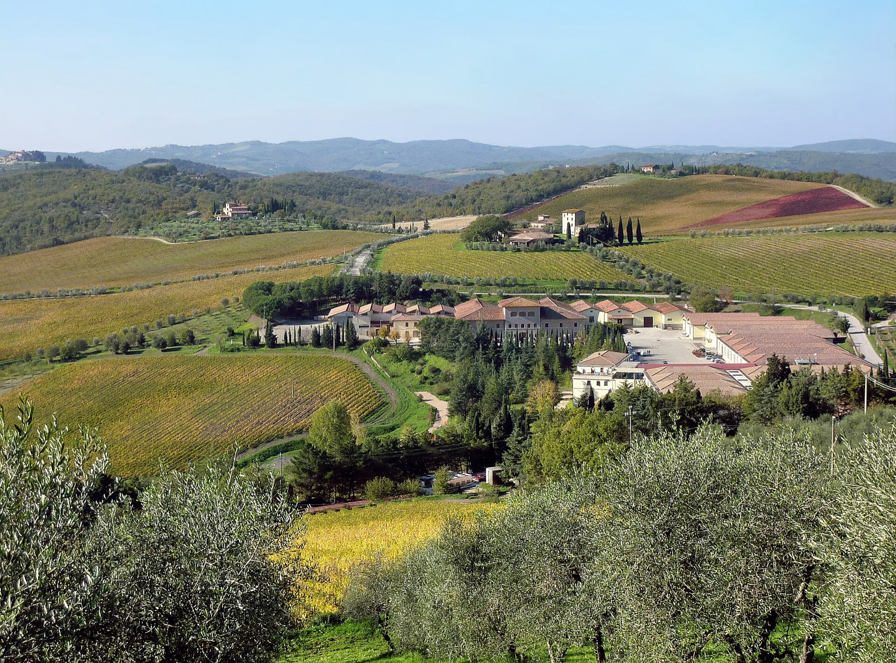 Viñedos y catas en la Toscana (Italia) 2026: 11 bodegas y precios 5 Hileras de vides en el corazón del Chianti Classico