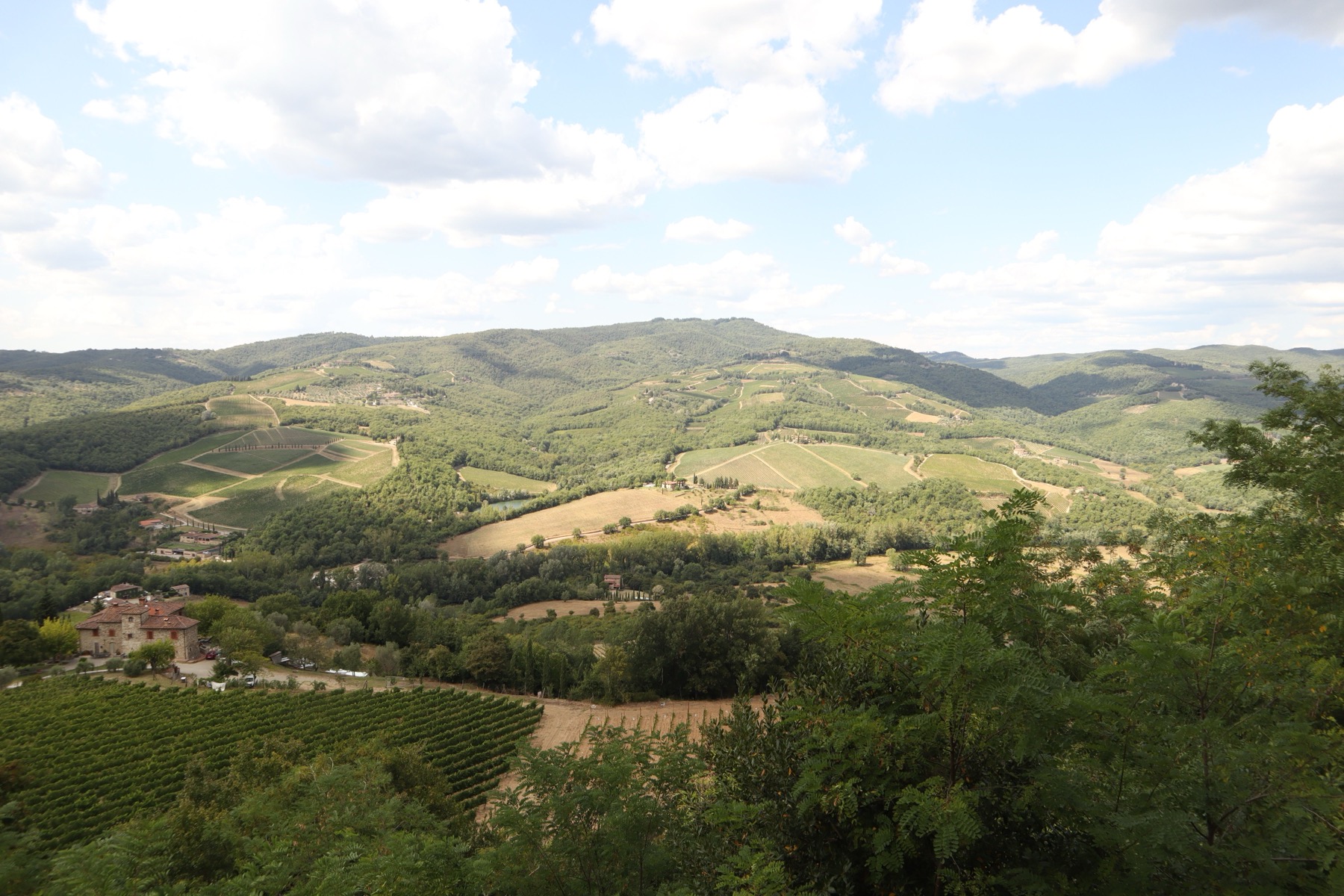 Viñedos y catas en la Toscana (Italia) 2026: 11 bodegas y precios 7 Colinas del Chianti Classico entre Florencia y Siena
