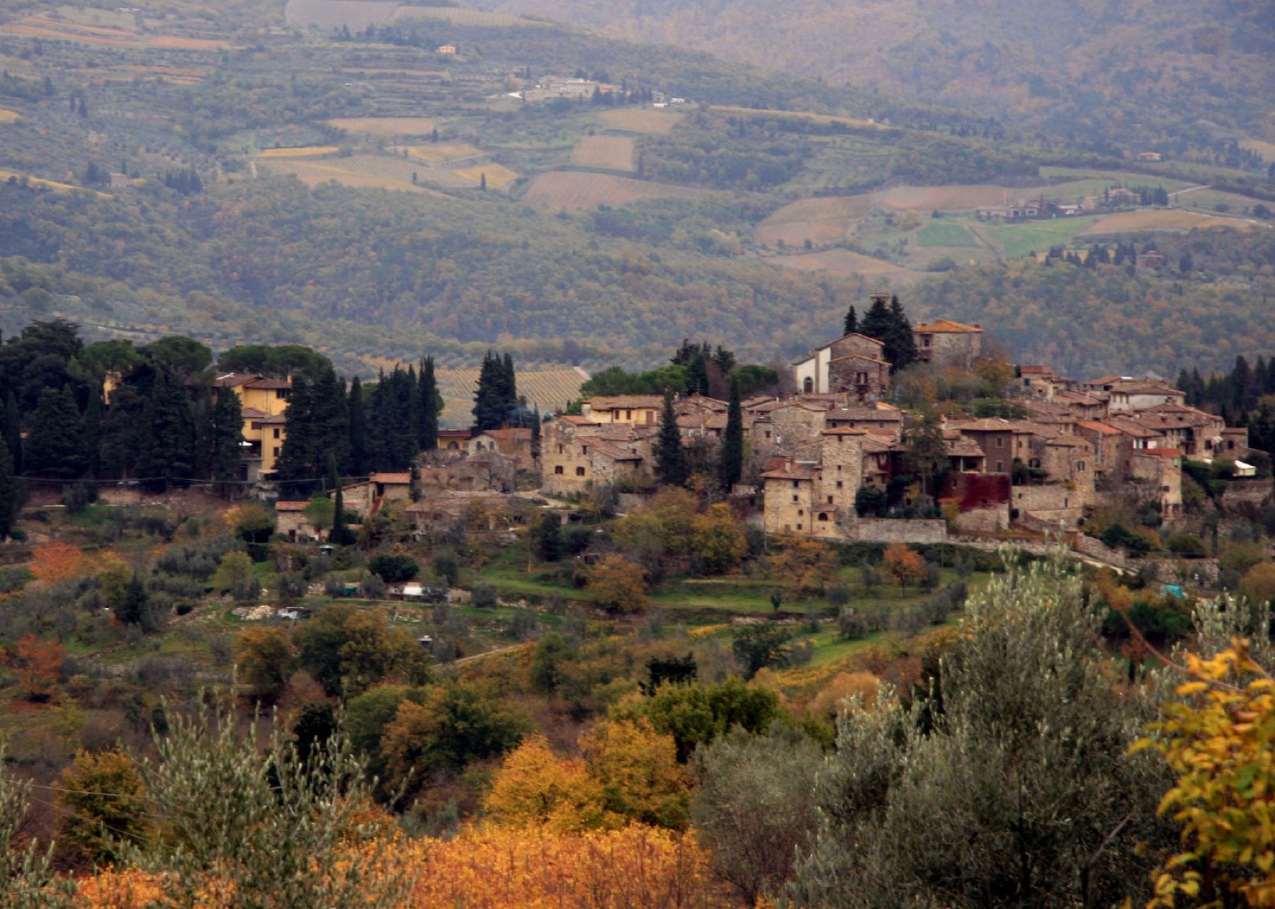 Viñedos y catas en la Toscana (Italia) 2026: 11 bodegas y precios 11 Paisaje alrededor de Greve in Chianti