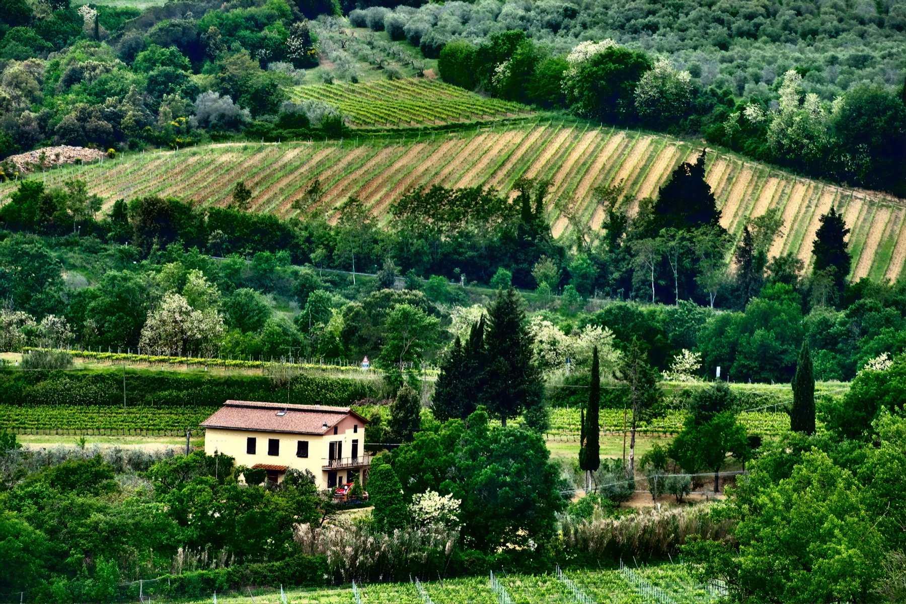 Viñedos y catas en la Toscana (Italia) 2026: 11 bodegas y precios 13 Finca con viñedos sobre las colinas del Chianti