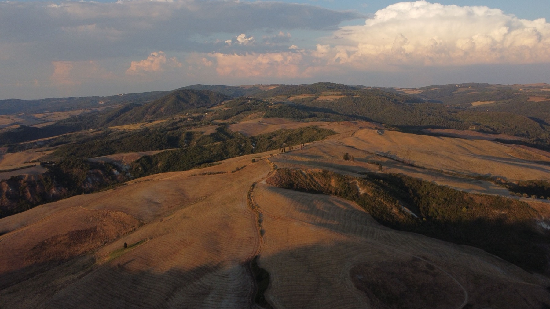 Viñedos y catas en la Toscana (Italia) 2026: 11 bodegas y precios 15 Paisaje ondulado del sur de la Toscana