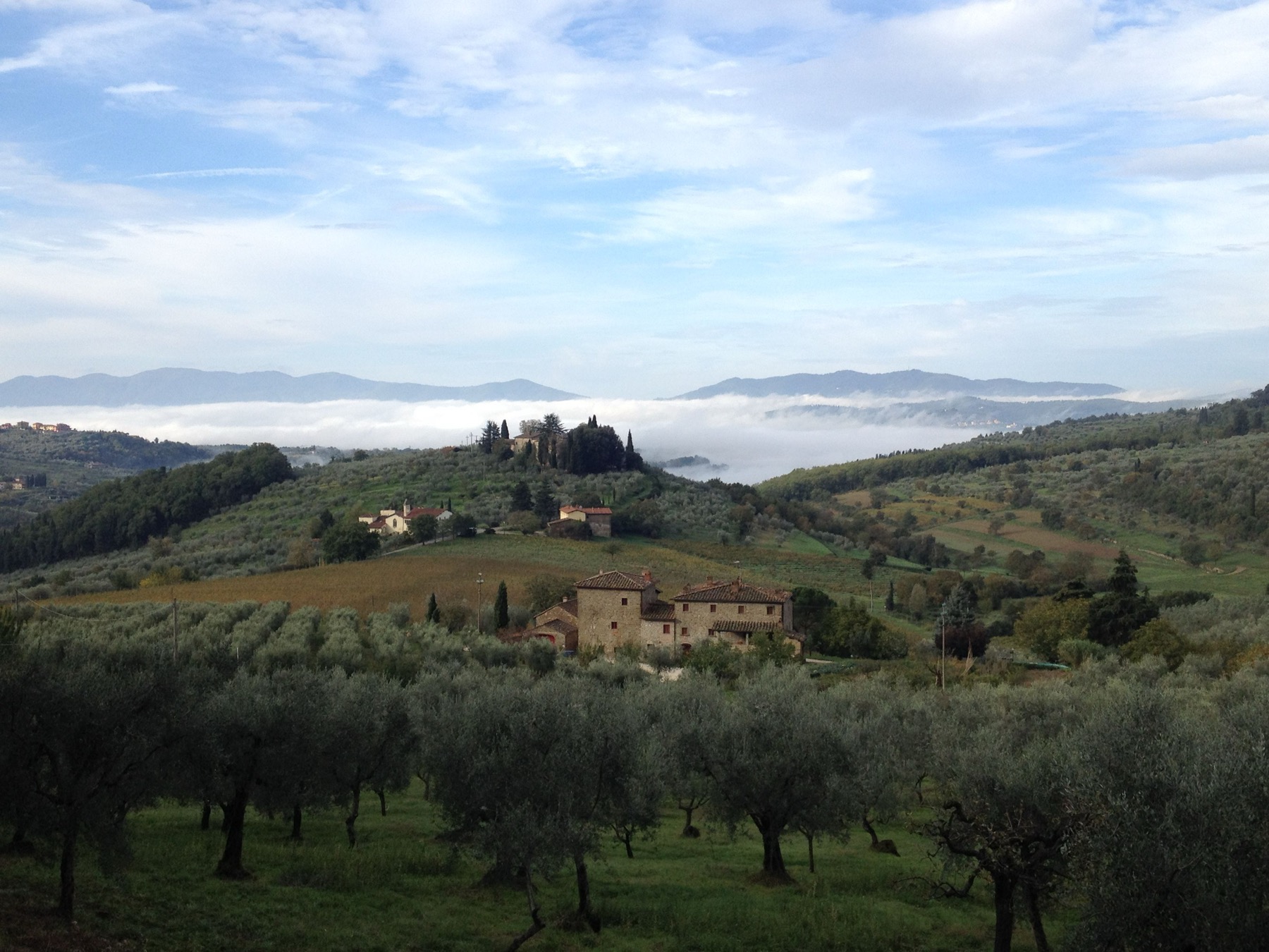 Viñedos y catas en la Toscana (Italia) 2026: 11 bodegas y precios 21 Alojamiento entre los viñedos de la Toscana