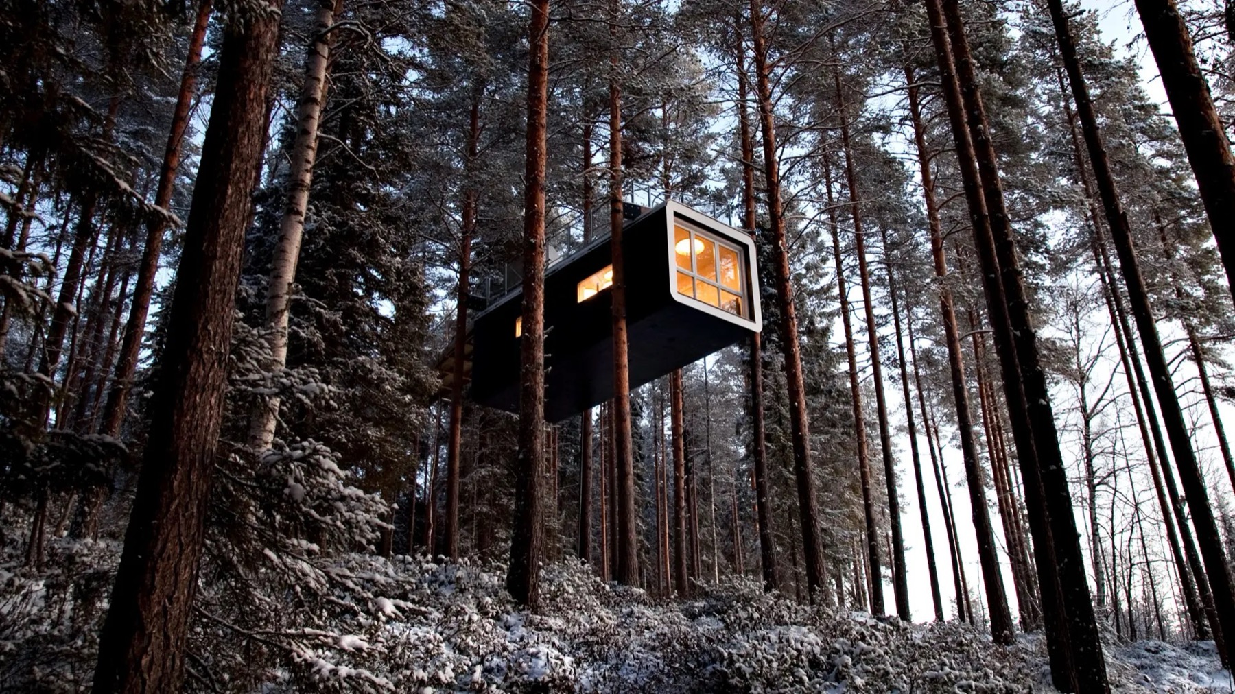 Alojamientos únicos del mundo: 35 lugares para tu bucket list en 2026 1 Cabaña The Cabin en el Treehotel colgada entre troncos de pinos nórdicos